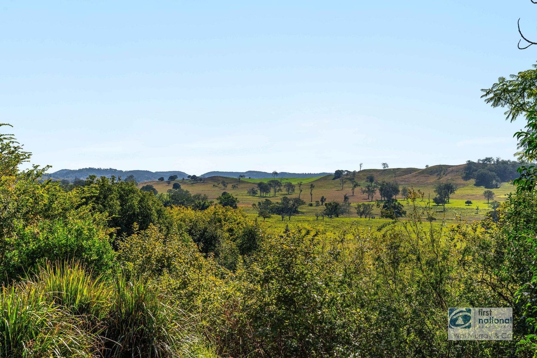1239 Bruxner Highway, McKees Hill For Sale by Farmbuy.com - image 11
