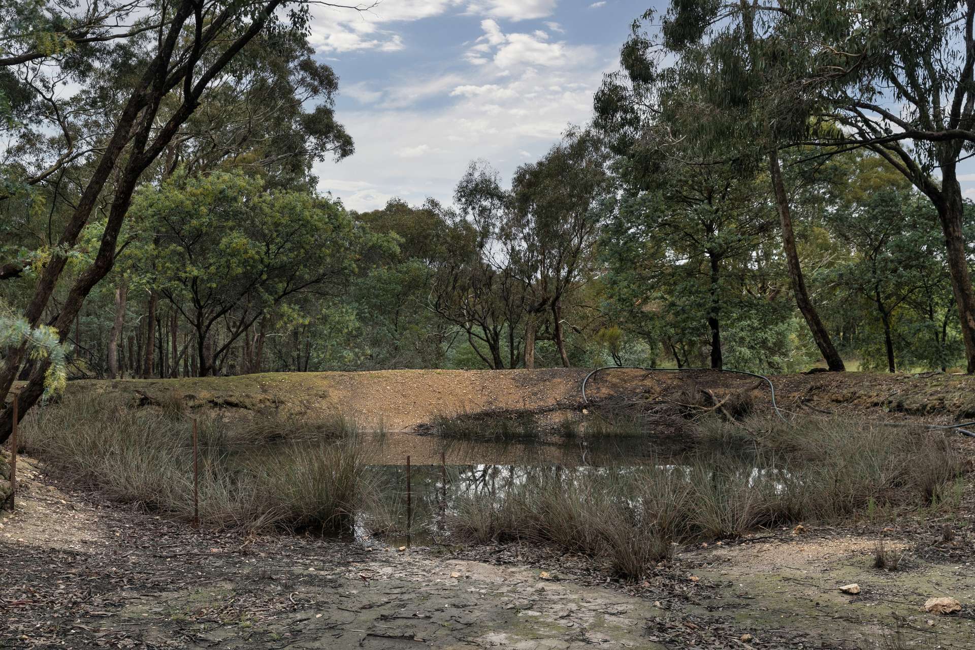 153 Gladstone Street, Lexton For Sale by Farmbuy.com - image 7