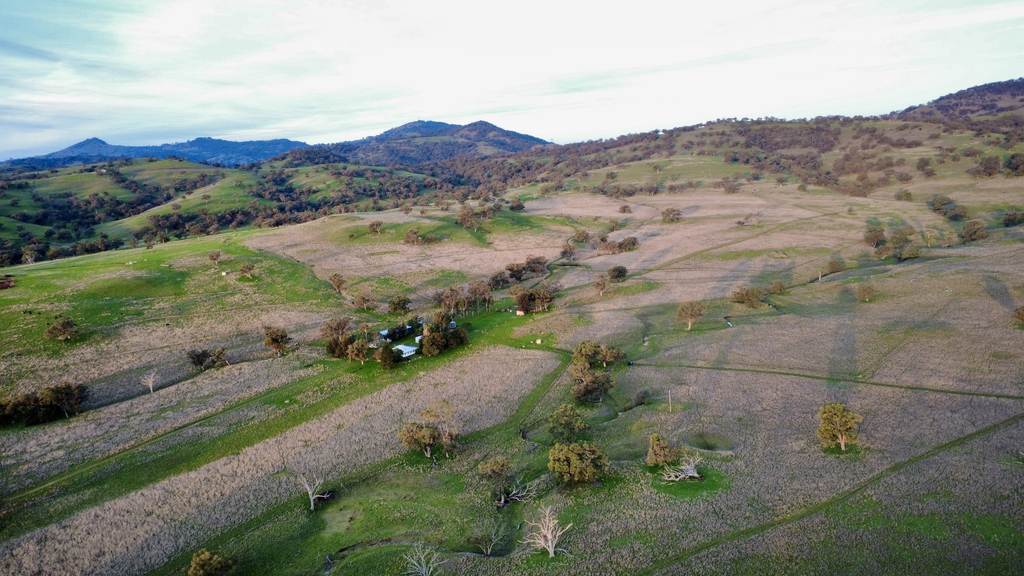 "AVOCA" Presses Road, Willow Tree NSW 2339