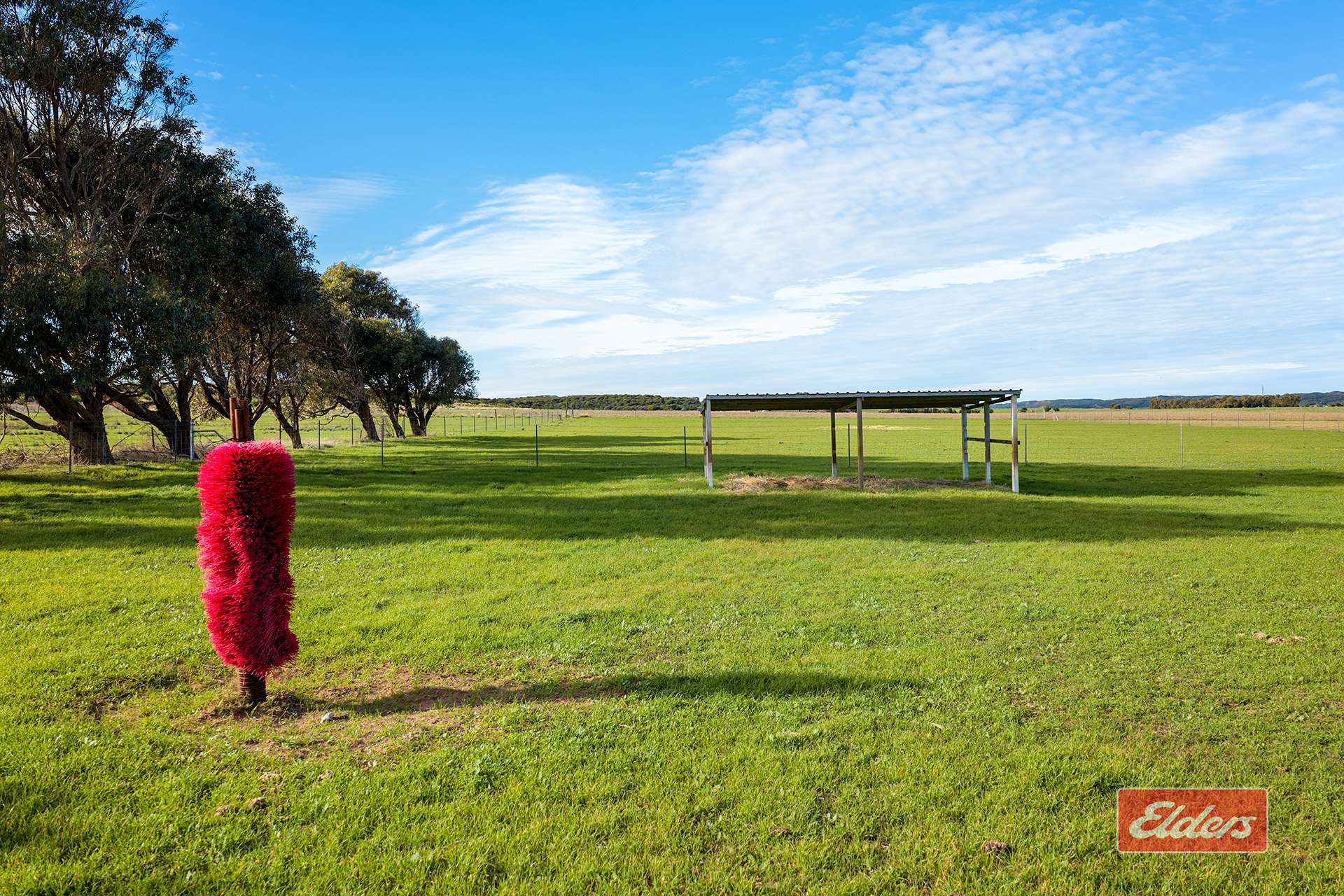 508 Crampton Road, South Greenough For Sale by Farmbuy.com - image 32