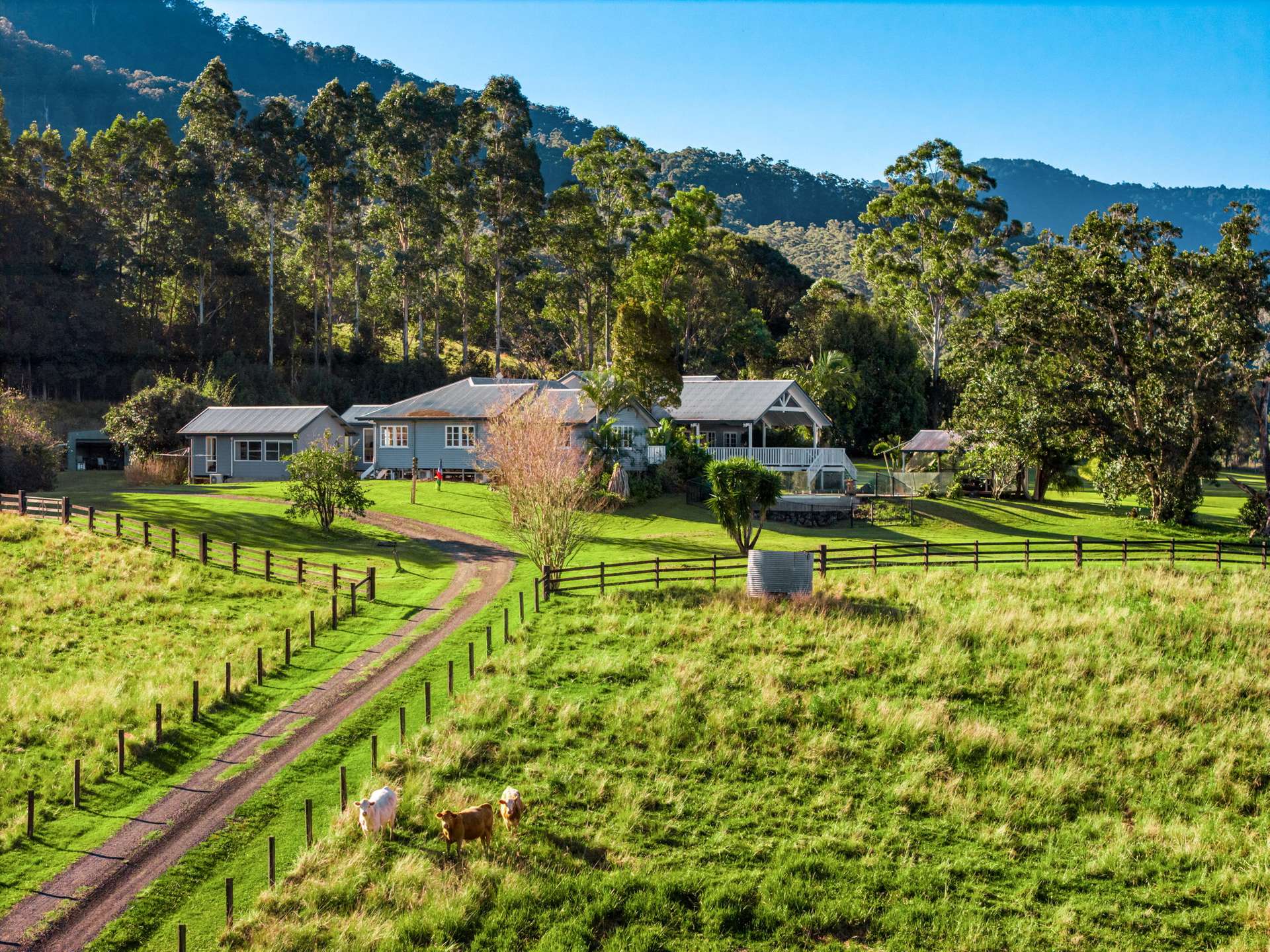 Nimbin For Sale by Farmbuy.com - image 2