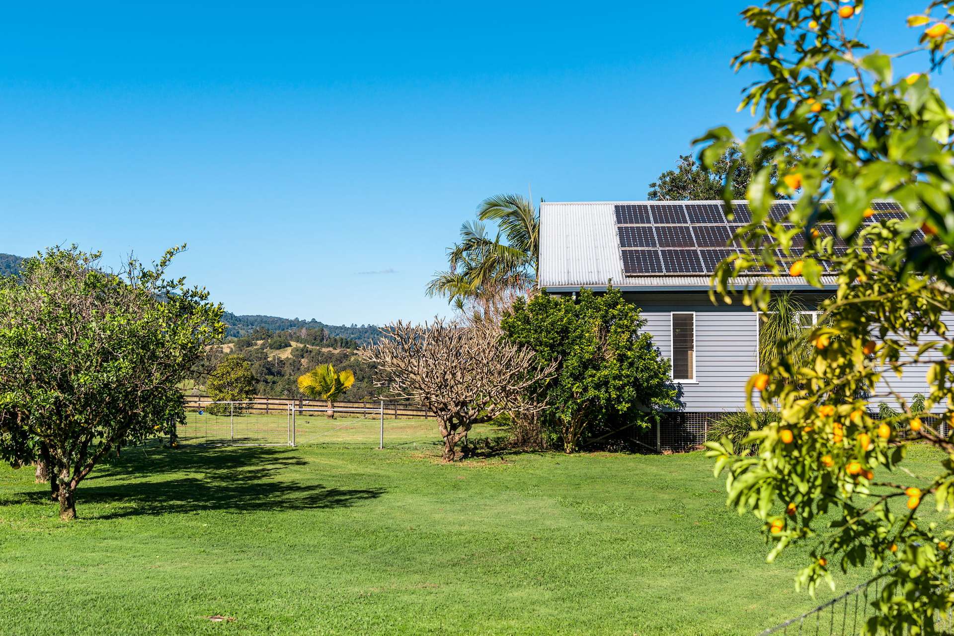Nimbin For Sale by Farmbuy.com - image 16