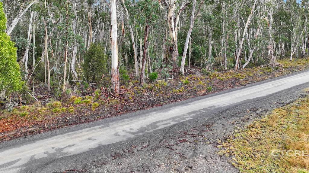 955 Bendoc-Orbost Road, Bendoc VIC 3888