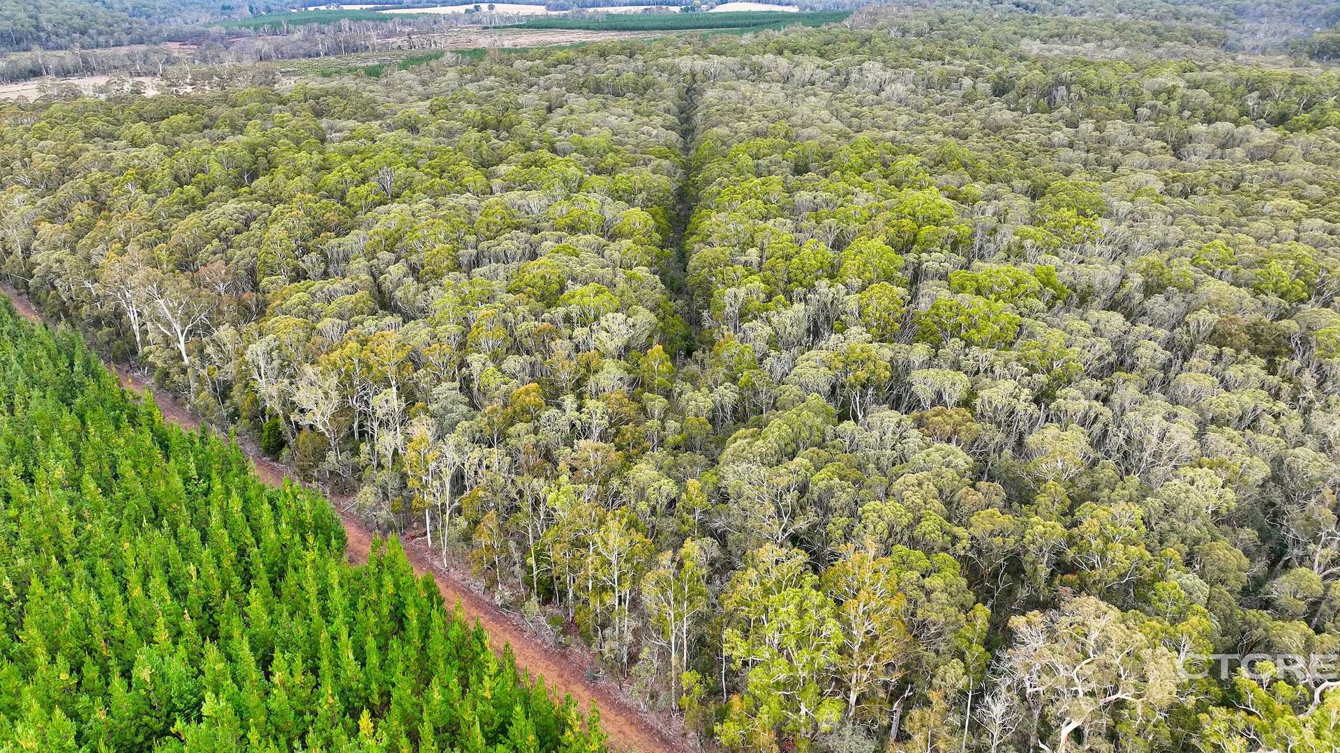 955 Bendoc-Orbost Road, Bendoc For Sale by Farmbuy.com - image 18
