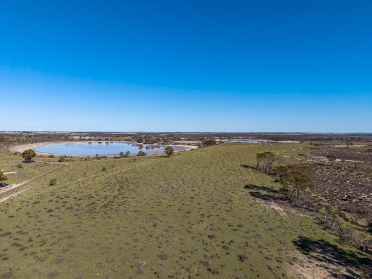 510 Gray Road, Pingrup For Sale by Farmbuy.com - image 10
