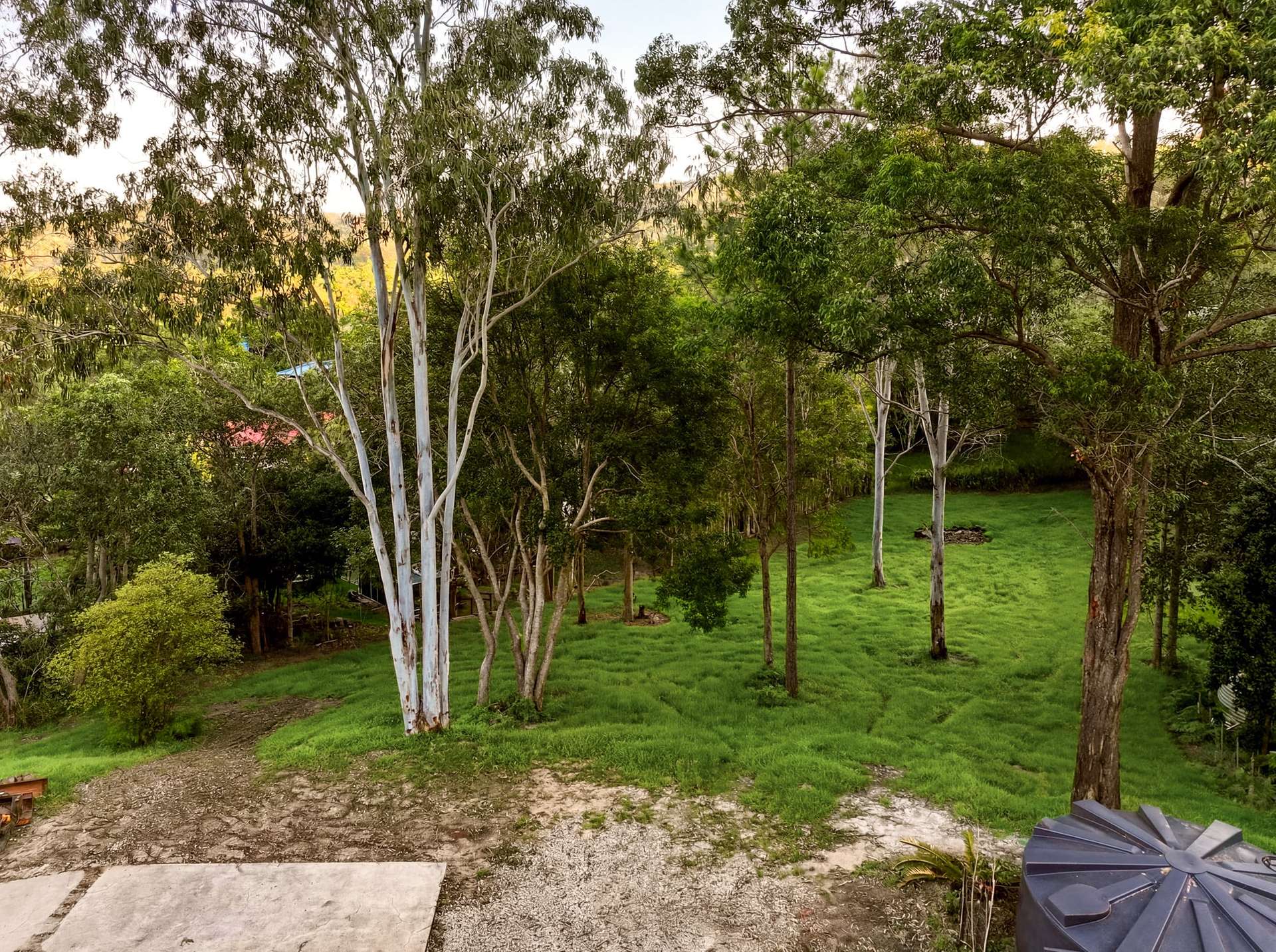 145 Mooloolah Meadows Drive, Diamond Valley For Sale by Farmbuy.com - image 27
