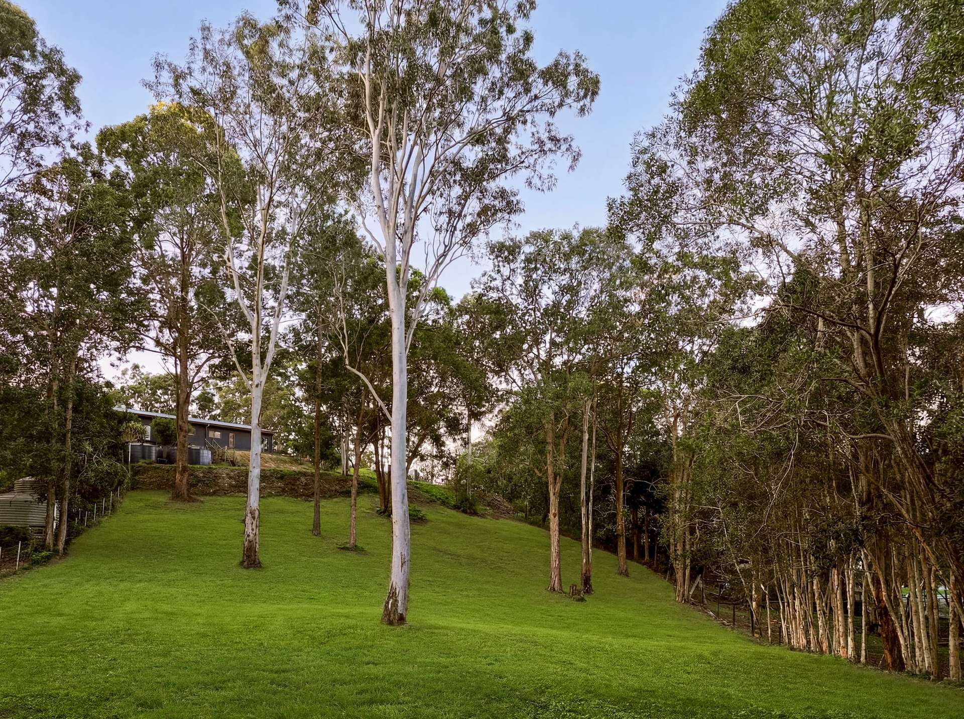 145 Mooloolah Meadows Drive, Diamond Valley For Sale by Farmbuy.com - image 22
