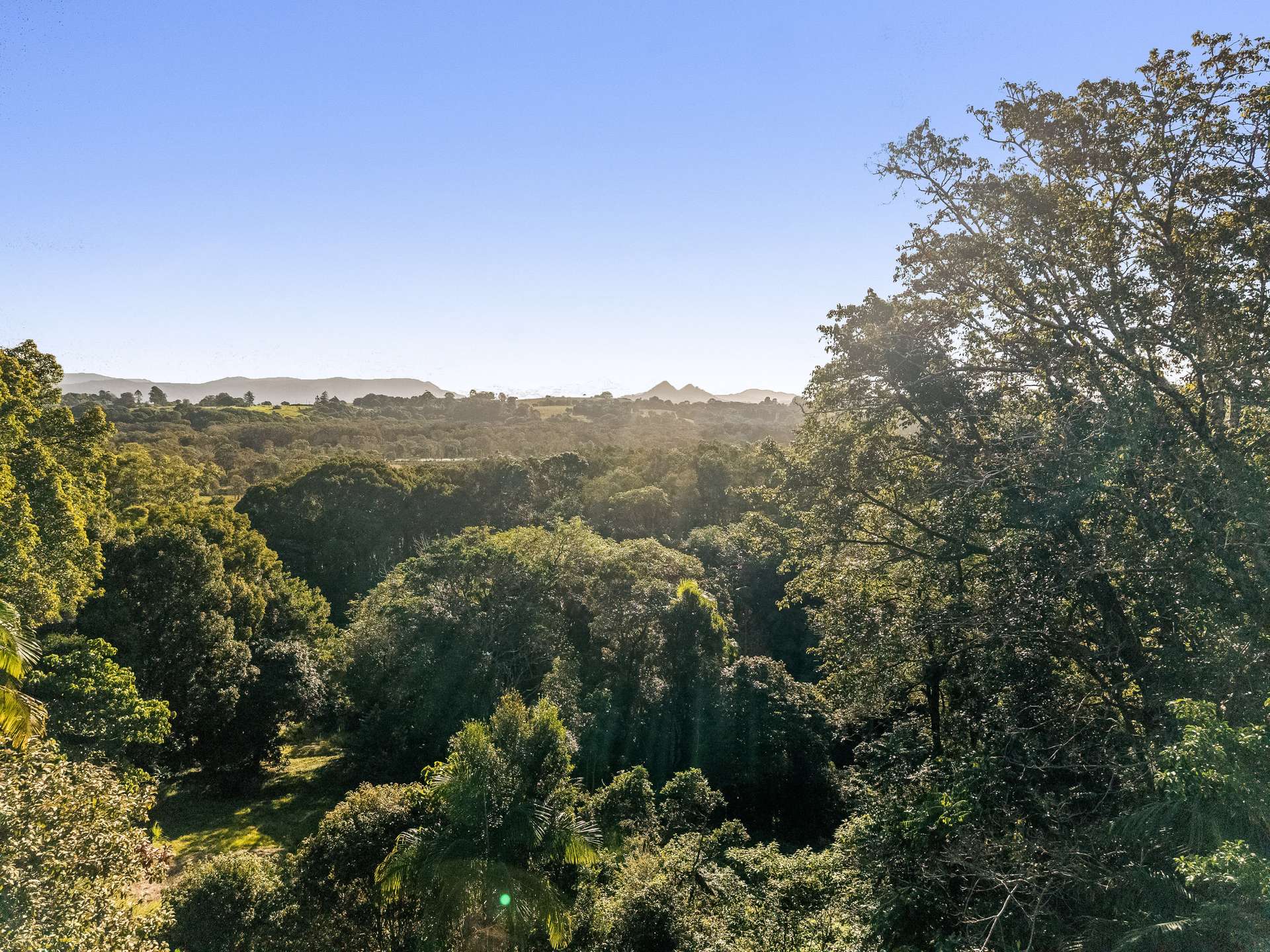 163 Tandys Lane, Brunswick Heads For Sale by Farmbuy.com - image 2