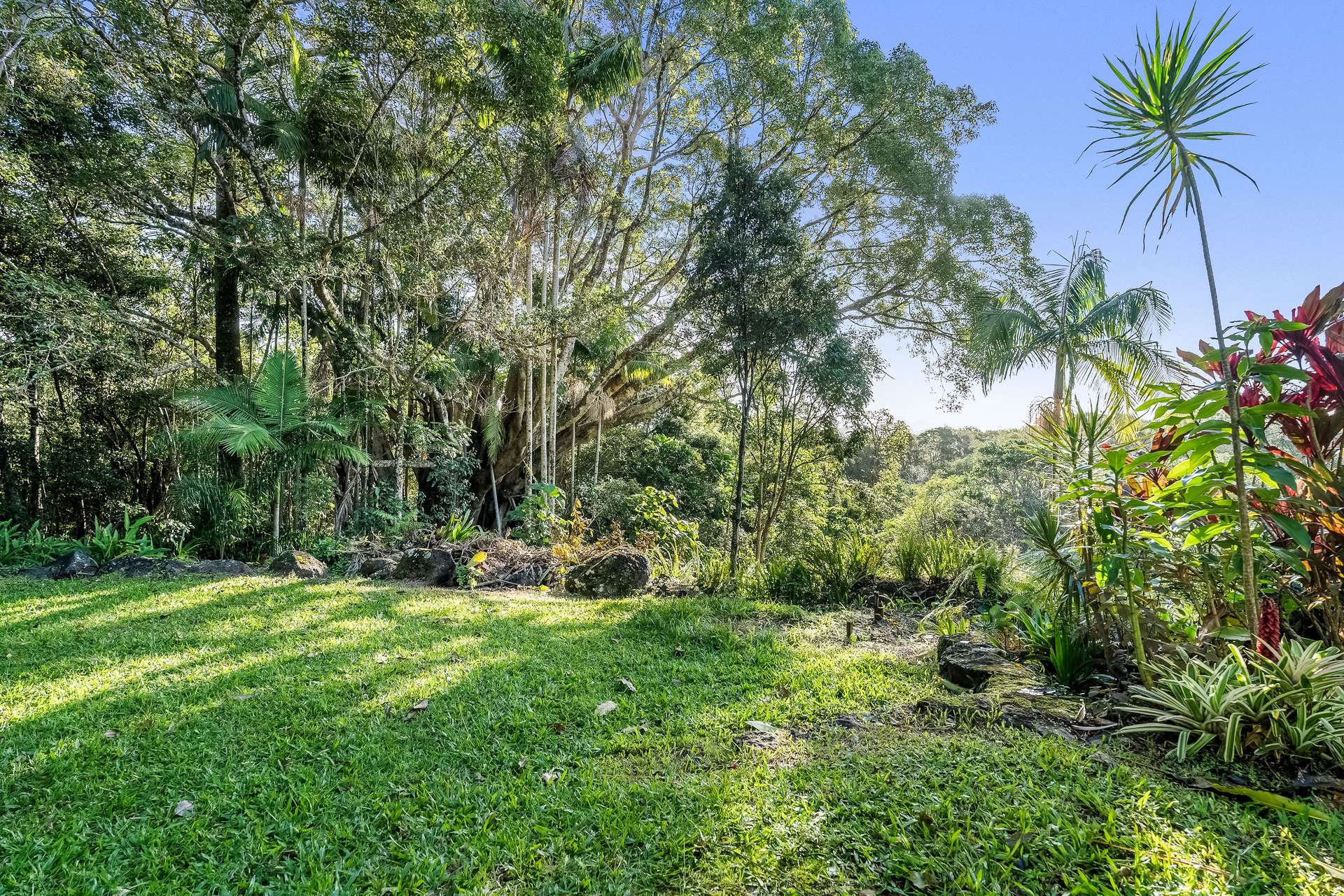 163 Tandys Lane, Brunswick Heads For Sale by Farmbuy.com - image 20
