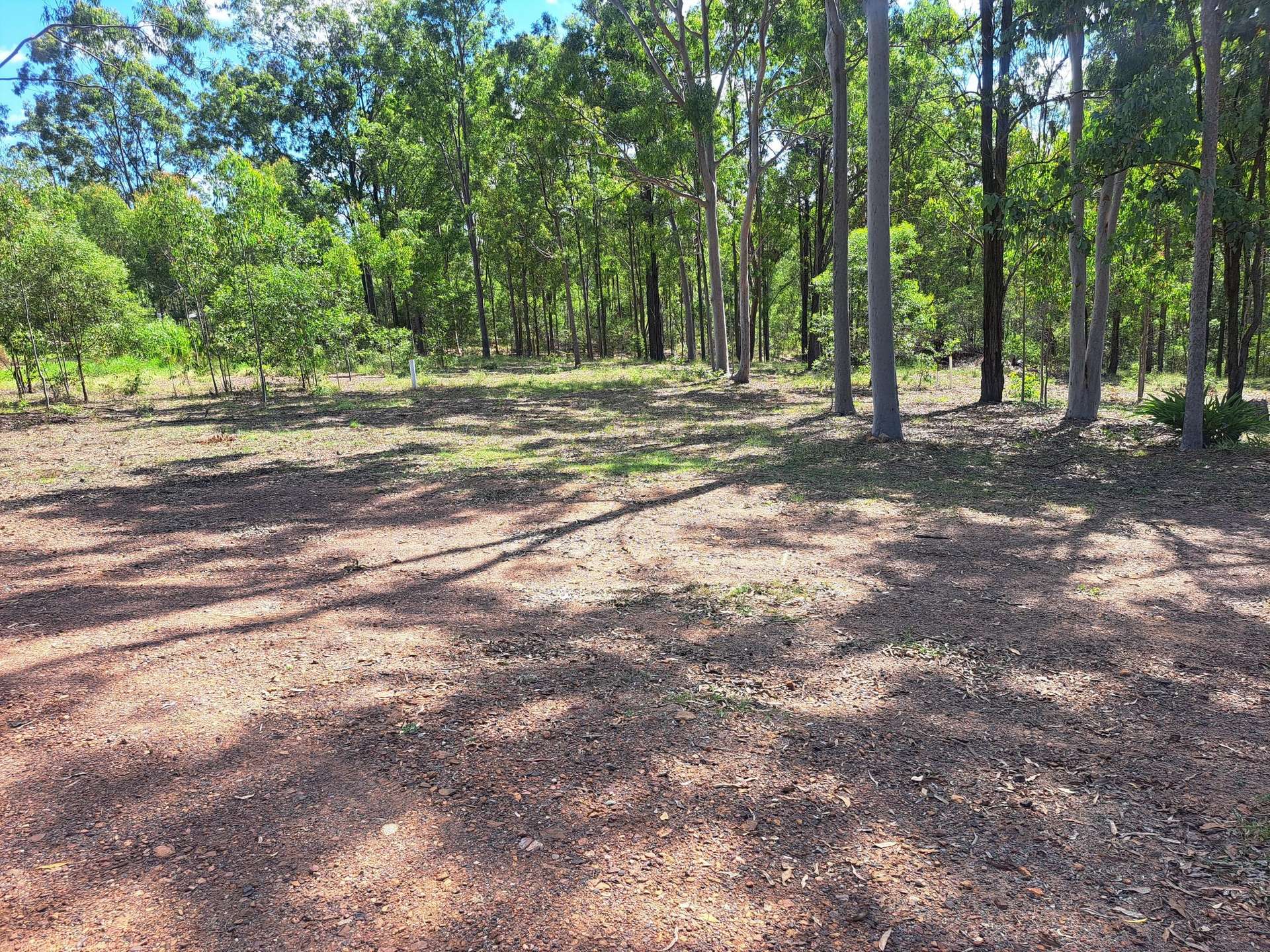 55 Arborthirty Rd, Glenwood Sold by Farmbuy.com - image 16