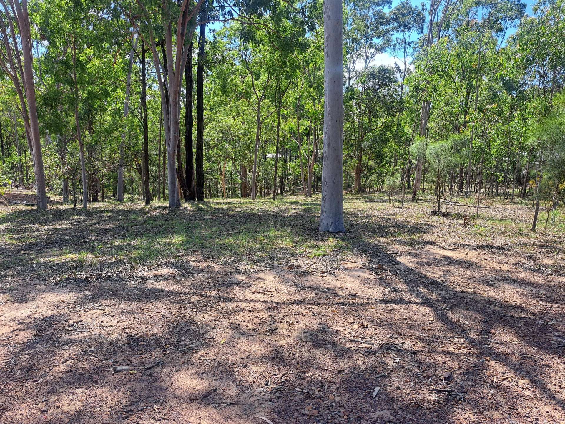 55 Arborthirty Rd, Glenwood Sold by Farmbuy.com - image 17