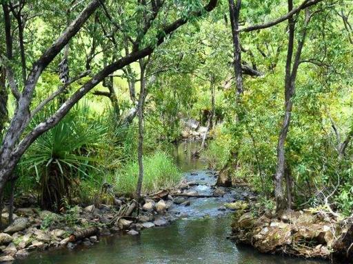555 Daly River Road, Adelaide River NT 0846