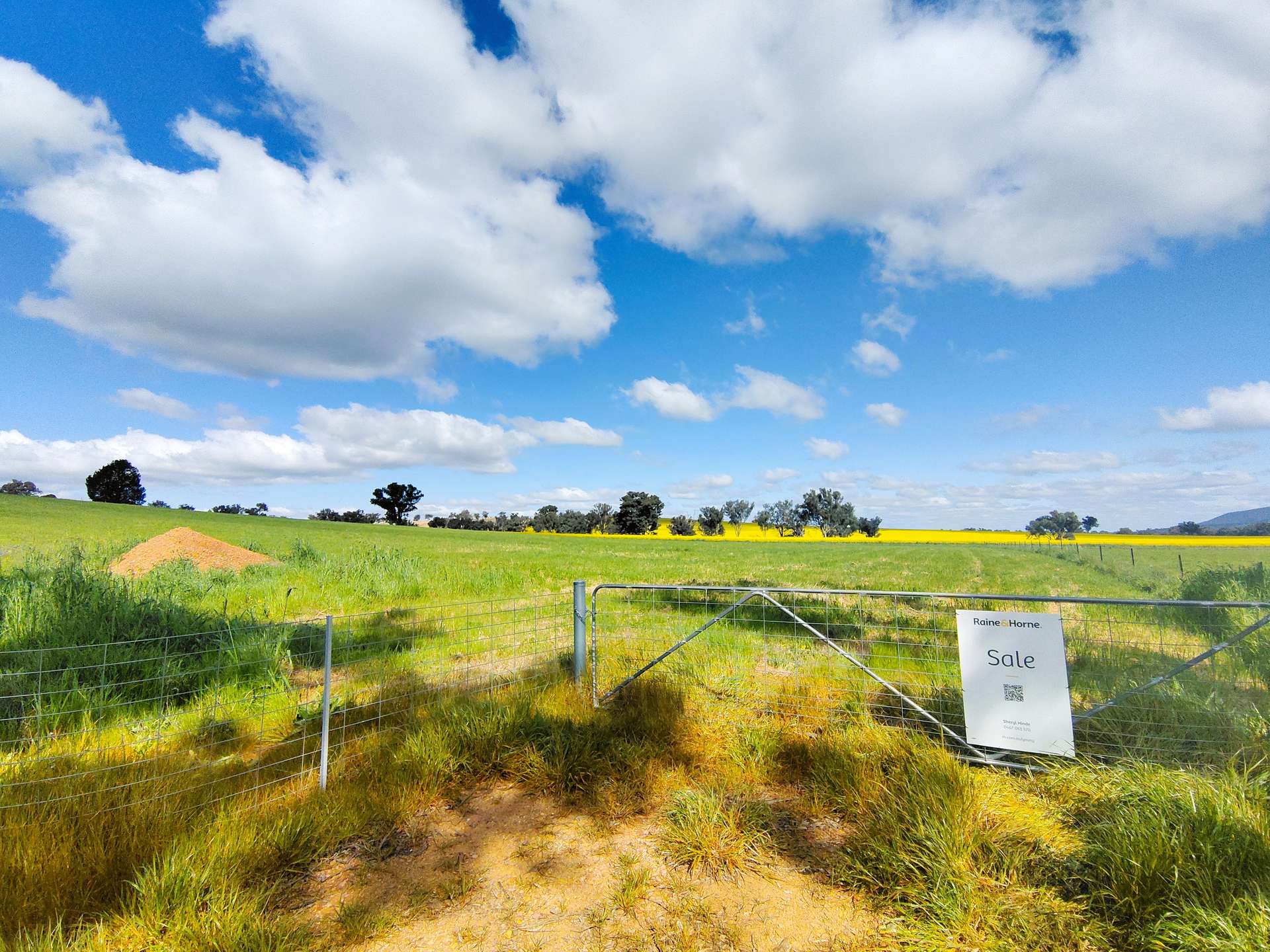 Lot 110, 16 Halls Lane, Grenfell For Sale by Farmbuy.com - image 3