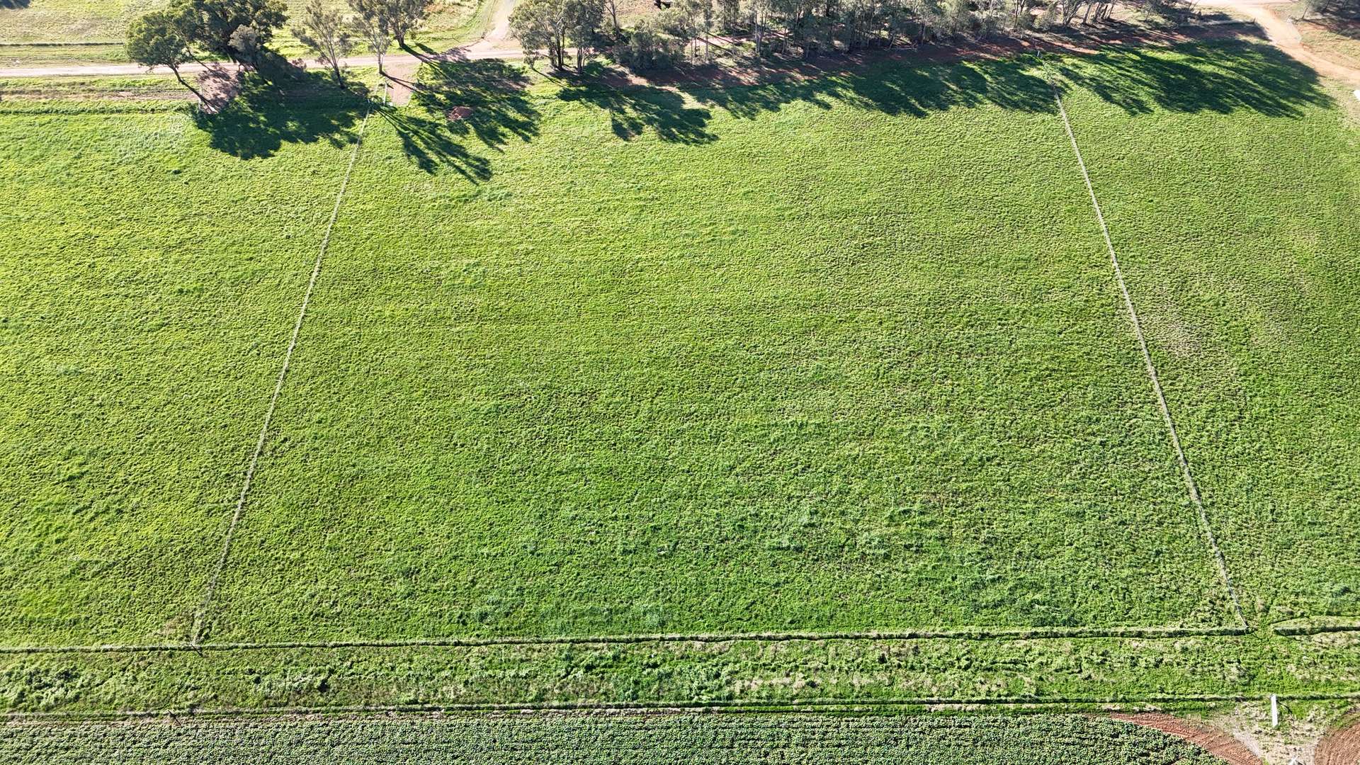 Lot 110, 16 Halls Lane, Grenfell For Sale by Farmbuy.com - image 1