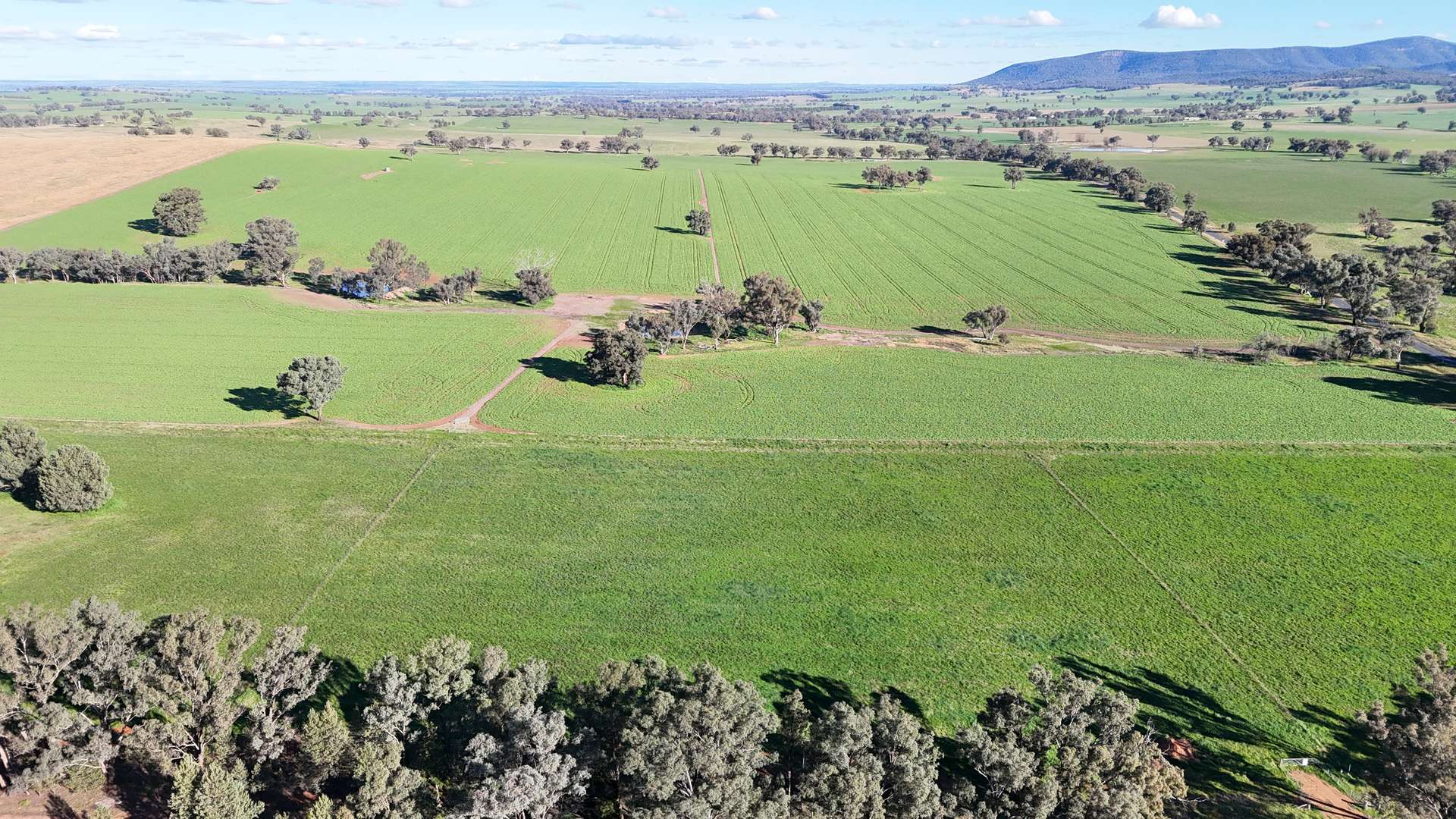 Lot 110, 16 Halls Lane, Grenfell For Sale by Farmbuy.com - image 2