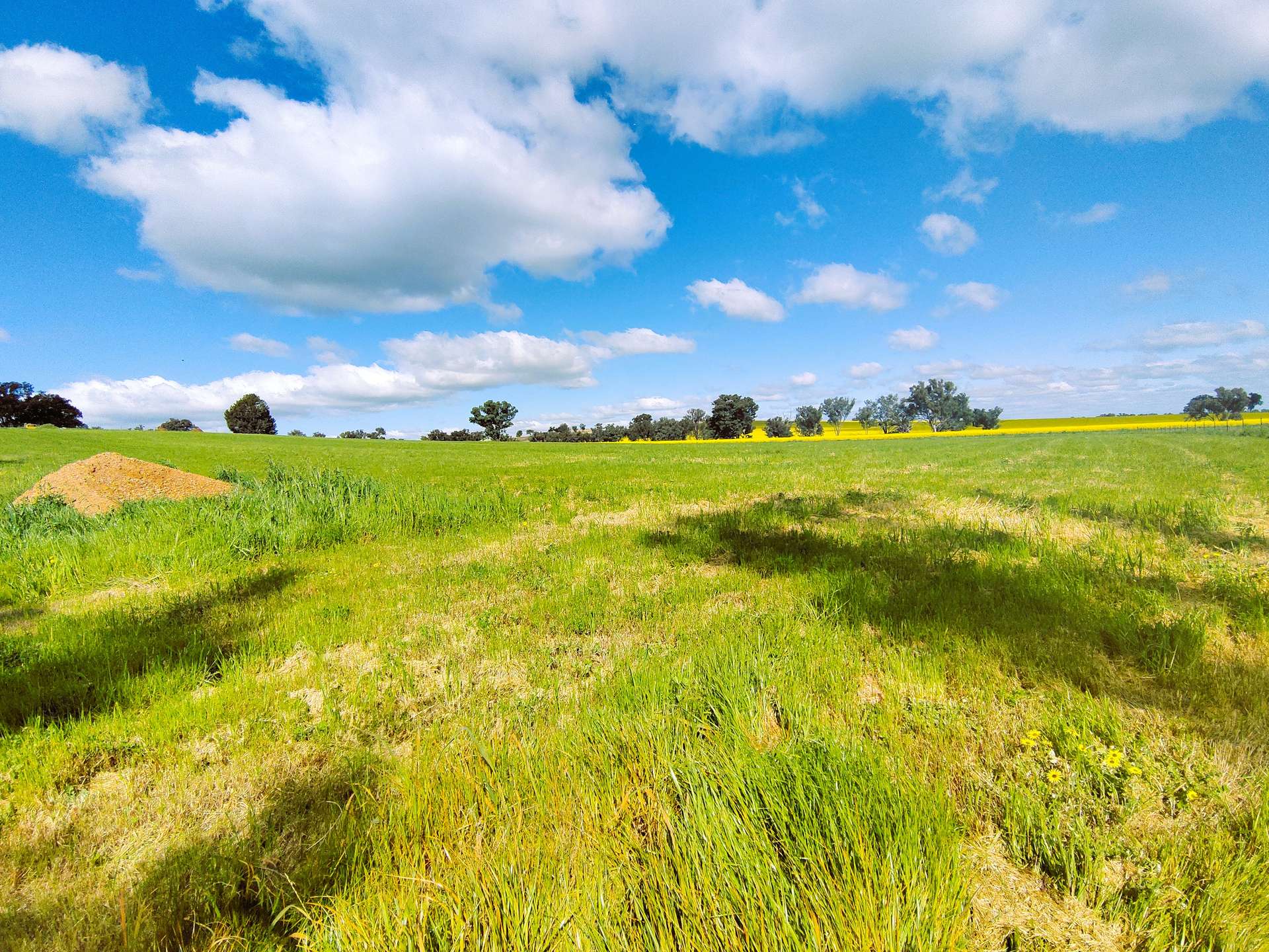 Lot 110, 16 Halls Lane, Grenfell For Sale by Farmbuy.com - image 5