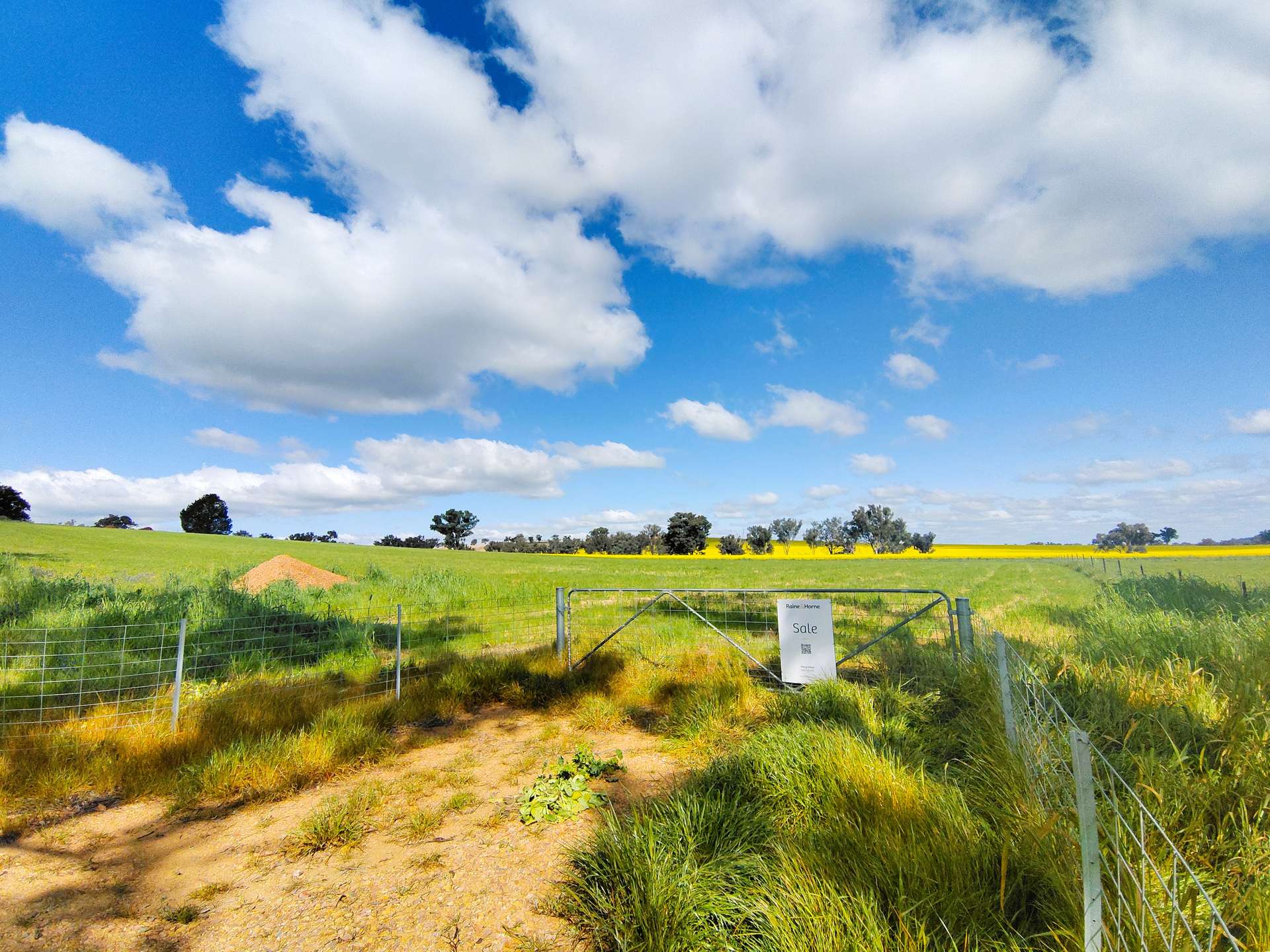 Lot 110, 16 Halls Lane, Grenfell For Sale by Farmbuy.com - image 4