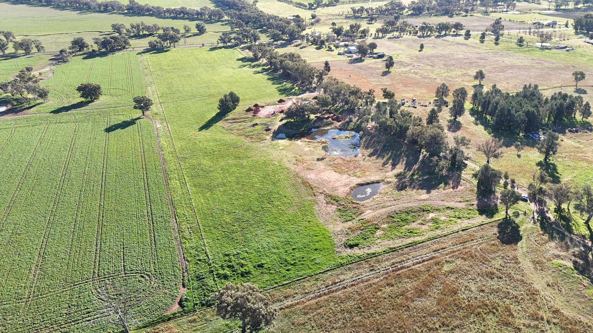 Lot 112, 60 Halls Lane, Grenfell For Sale by Farmbuy.com - image 2
