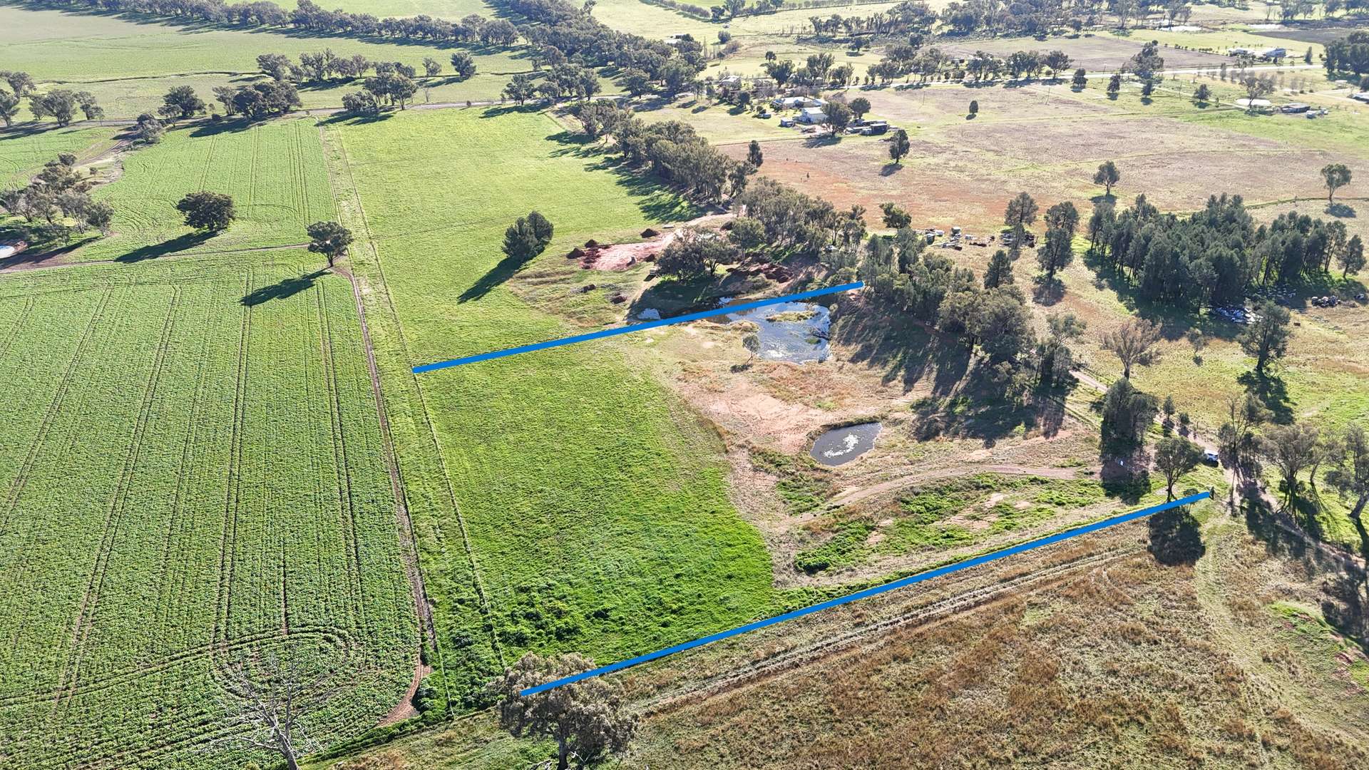 Lot 112, 60 Halls Lane, Grenfell For Sale by Farmbuy.com - image 3