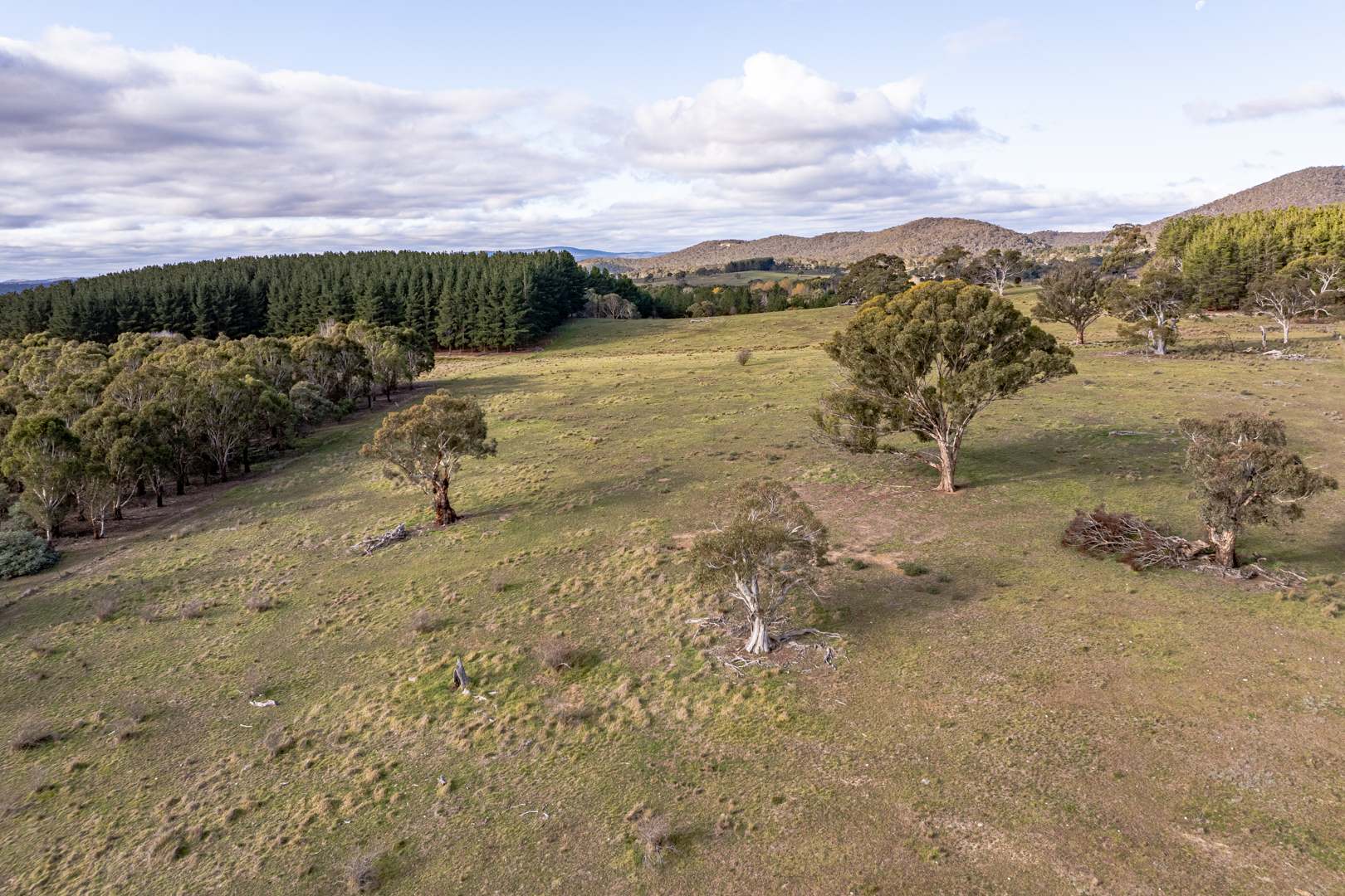 122 Koombahlah Road, Primrose Valley For Sale by Farmbuy.com - image 24