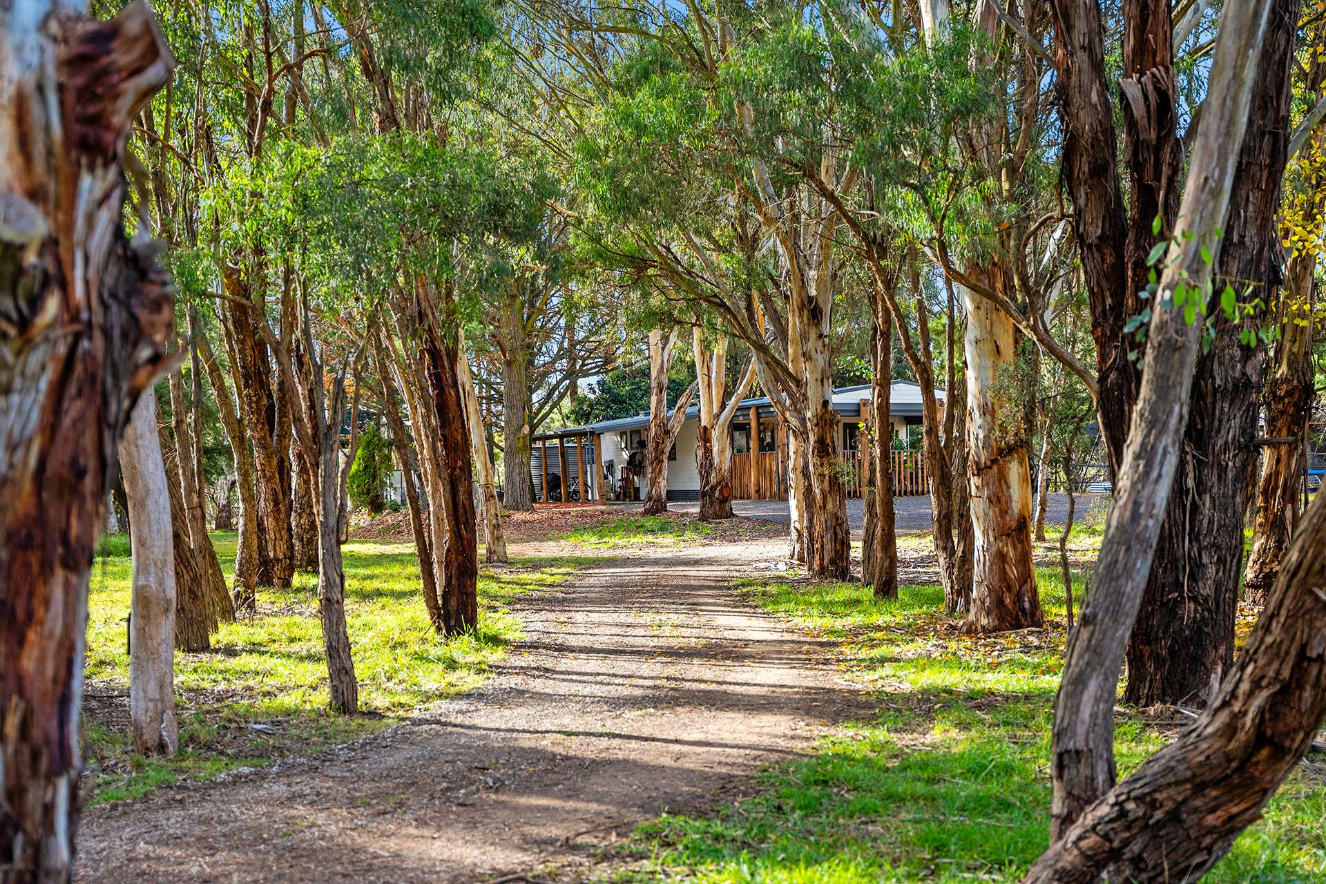 122 Koombahlah Road, Primrose Valley For Sale by Farmbuy.com - image 26