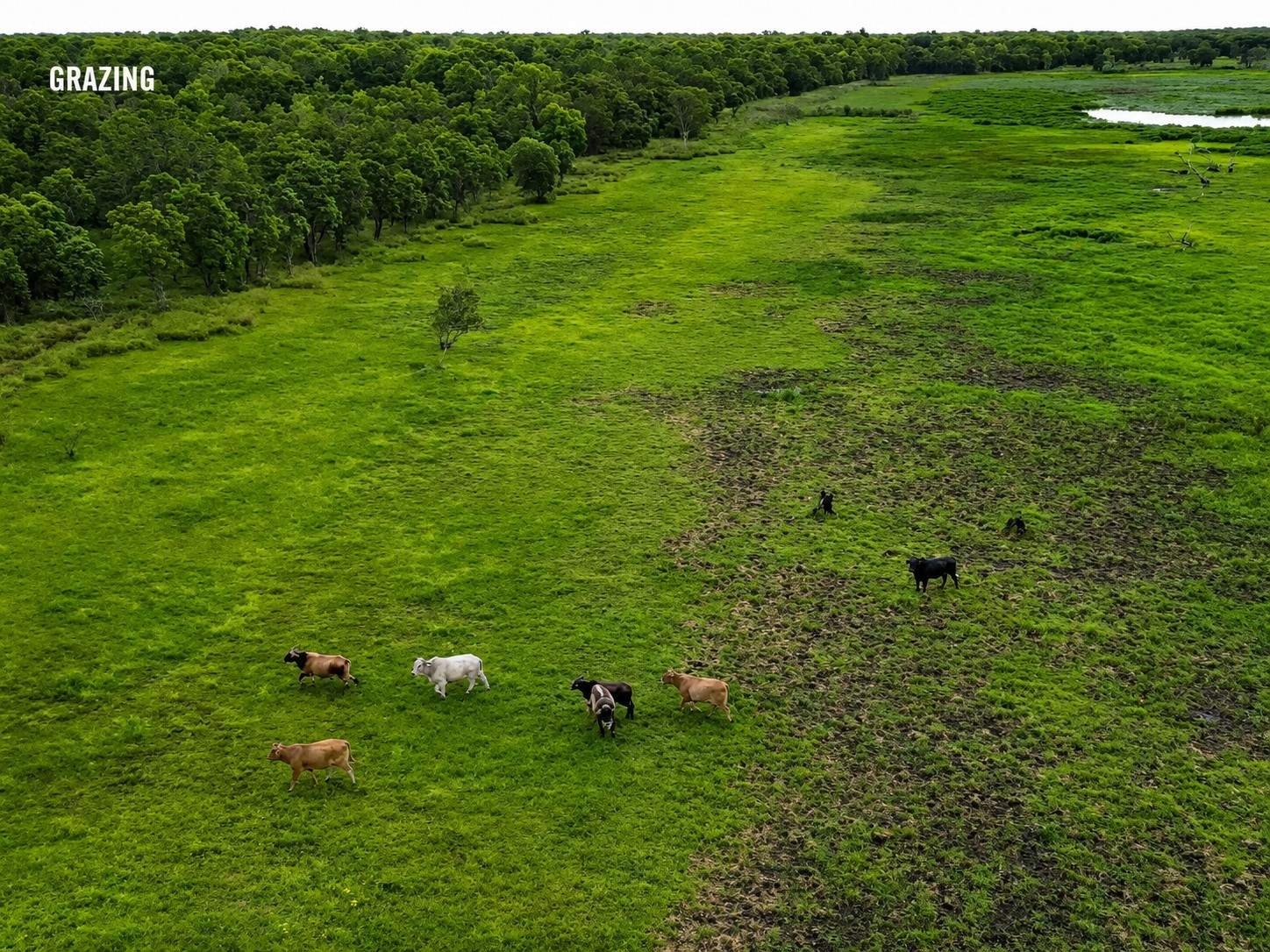 Sanctuary Avenue, Marrakai For Sale by Farmbuy.com - image 7