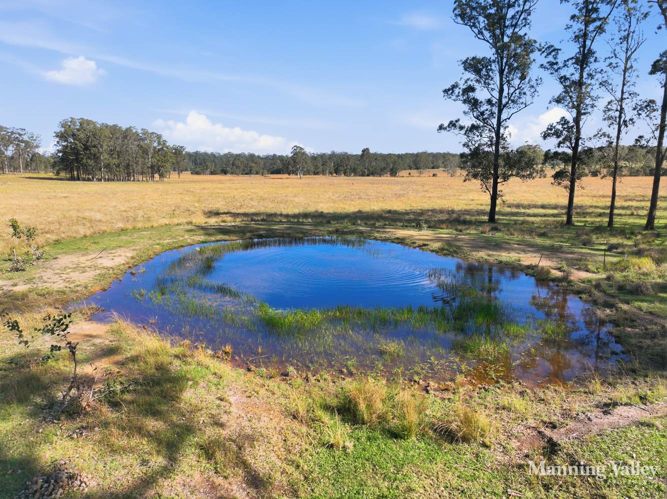 389 Upper Lansdowne Rd, Melinga Auction by Farmbuy.com - image 12