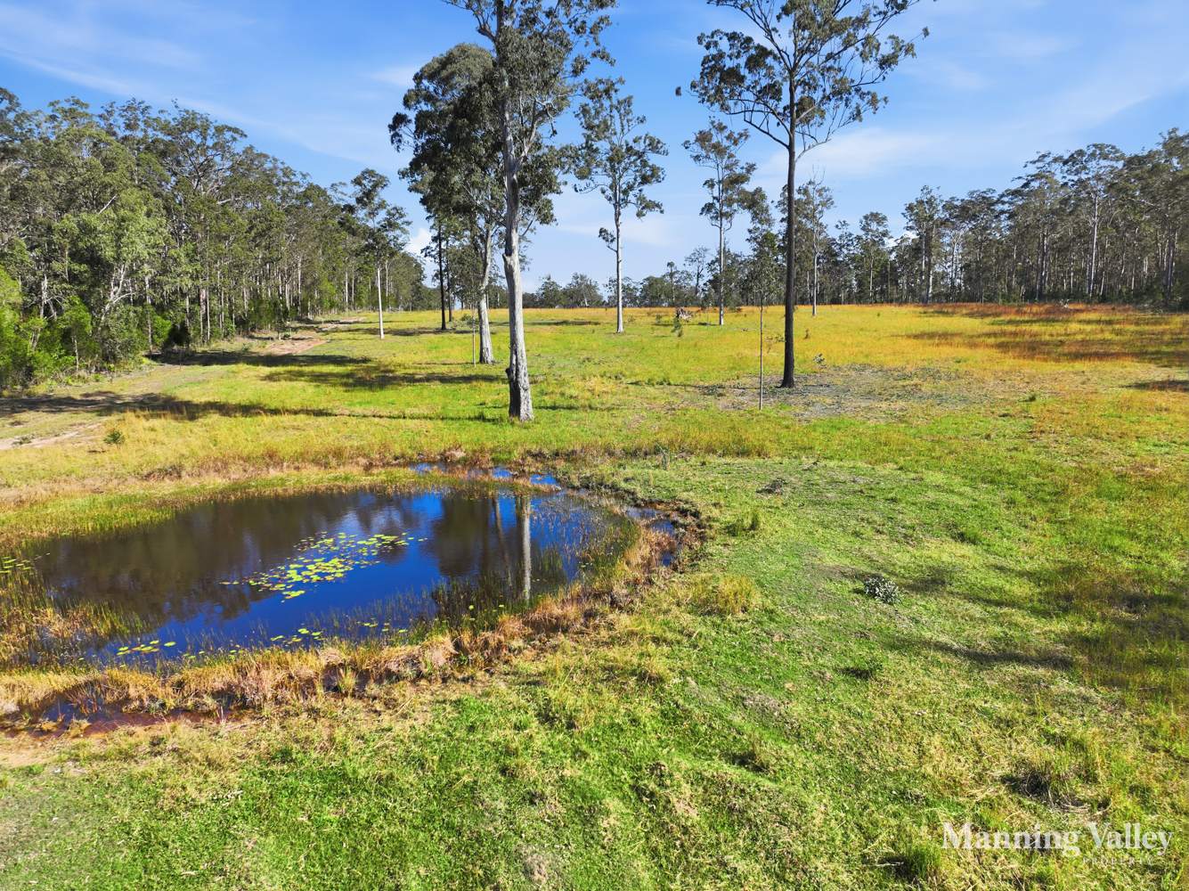 389 Upper Lansdowne Rd, Melinga Auction by Farmbuy.com - image 8