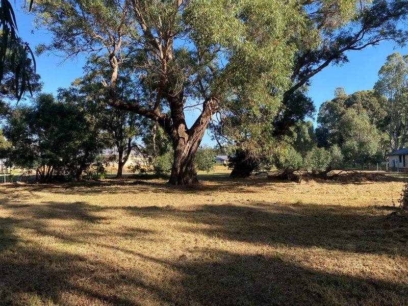 13 Phizam Place, Darling Downs For Sale by Farmbuy.com - image 11
