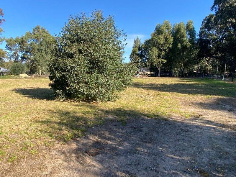 13 Phizam Place, Darling Downs For Sale by Farmbuy.com - image 7
