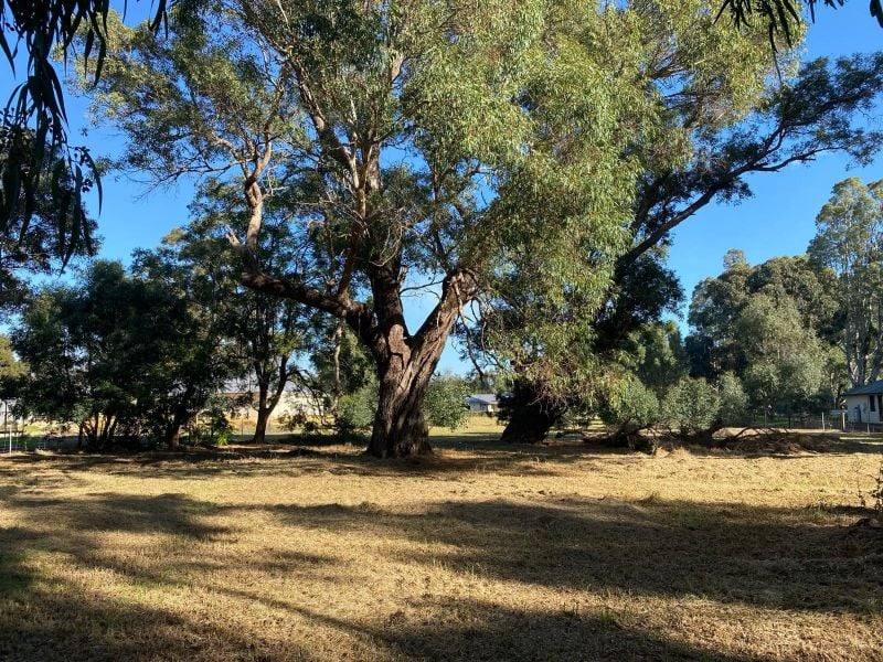 13 Phizam Place, Darling Downs For Sale by Farmbuy.com - image 10