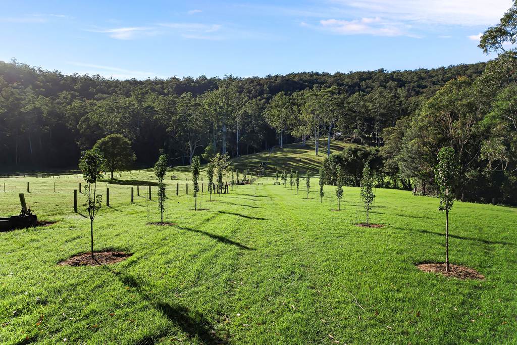 255 Brush Creek Road, Cedar Brush Creek NSW 2259