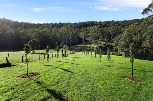 255 Brush Creek Road, Cedar Brush Creek NSW 2259