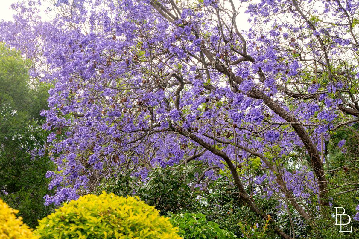 2 Southern Road, Terara For Sale by Farmbuy.com - image 16
