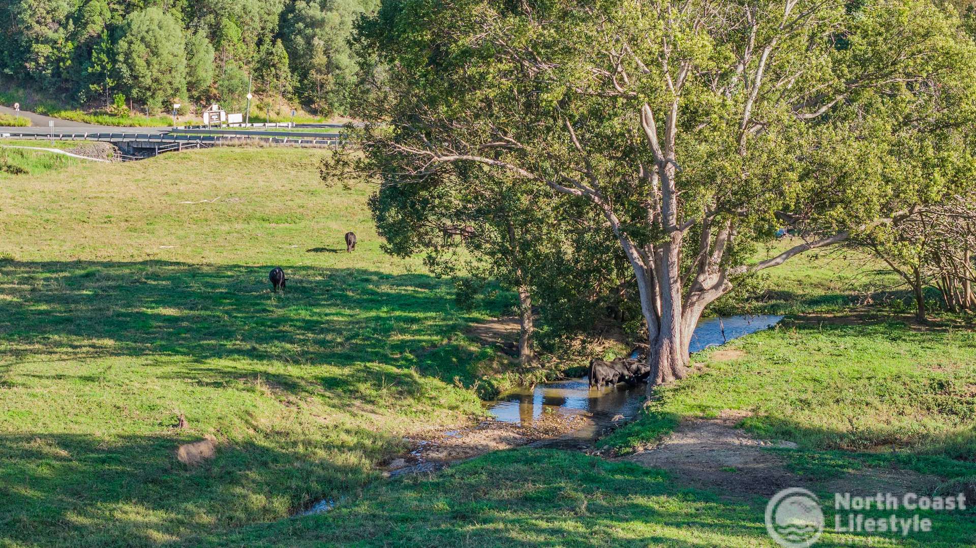 5644 Tweed Valley Way, Crabbes Creek For Sale by Farmbuy.com - image 27