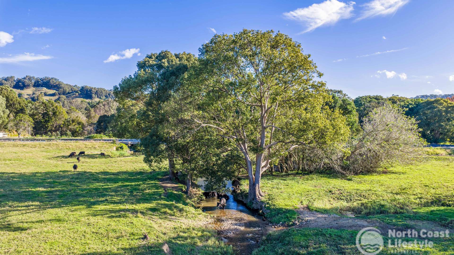 5644 Tweed Valley Way, Crabbes Creek For Sale by Farmbuy.com - image 12