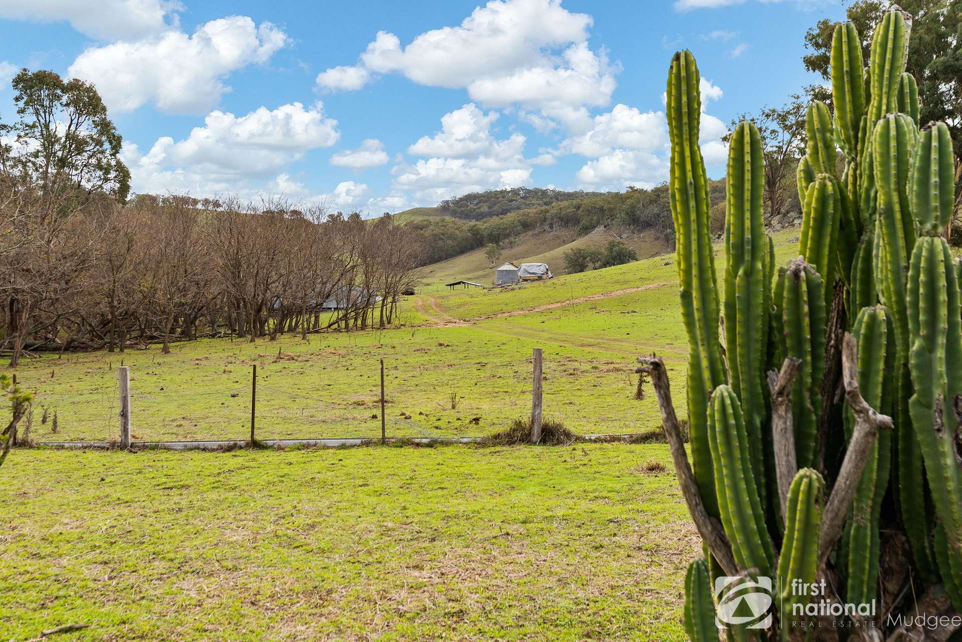 1151 Bara Road, Mudgee For Sale by Farmbuy.com - image 9