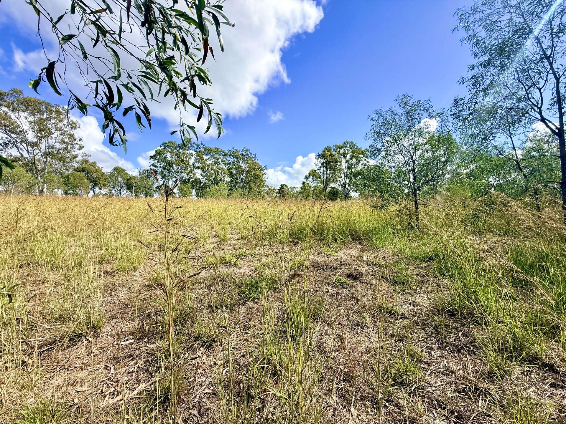 Lot 2,  Monduran Dam Road, Monduran For Sale by Farmbuy.com - image 3