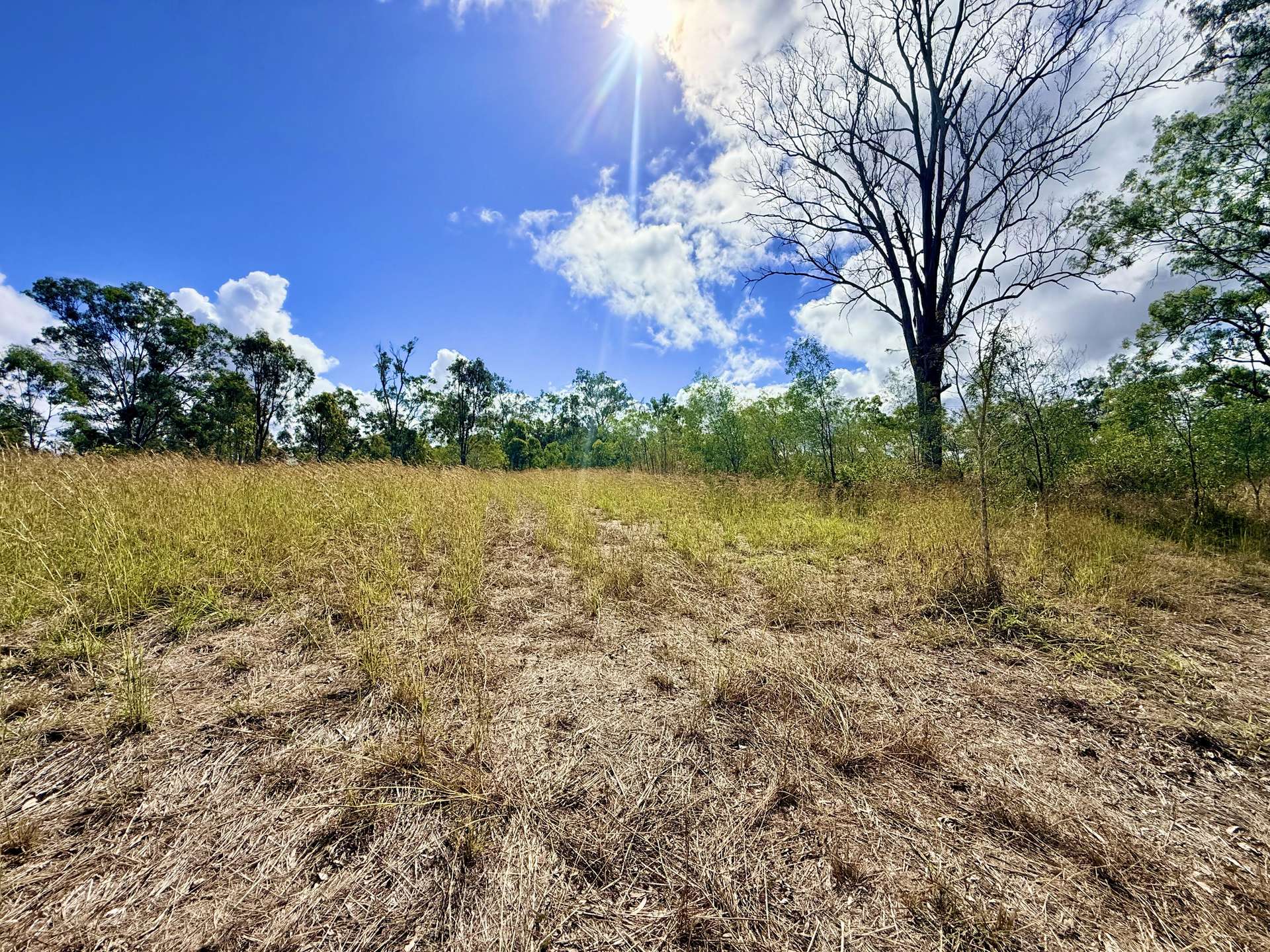 Lot 2,  Monduran Dam Road, Monduran For Sale by Farmbuy.com - image 2