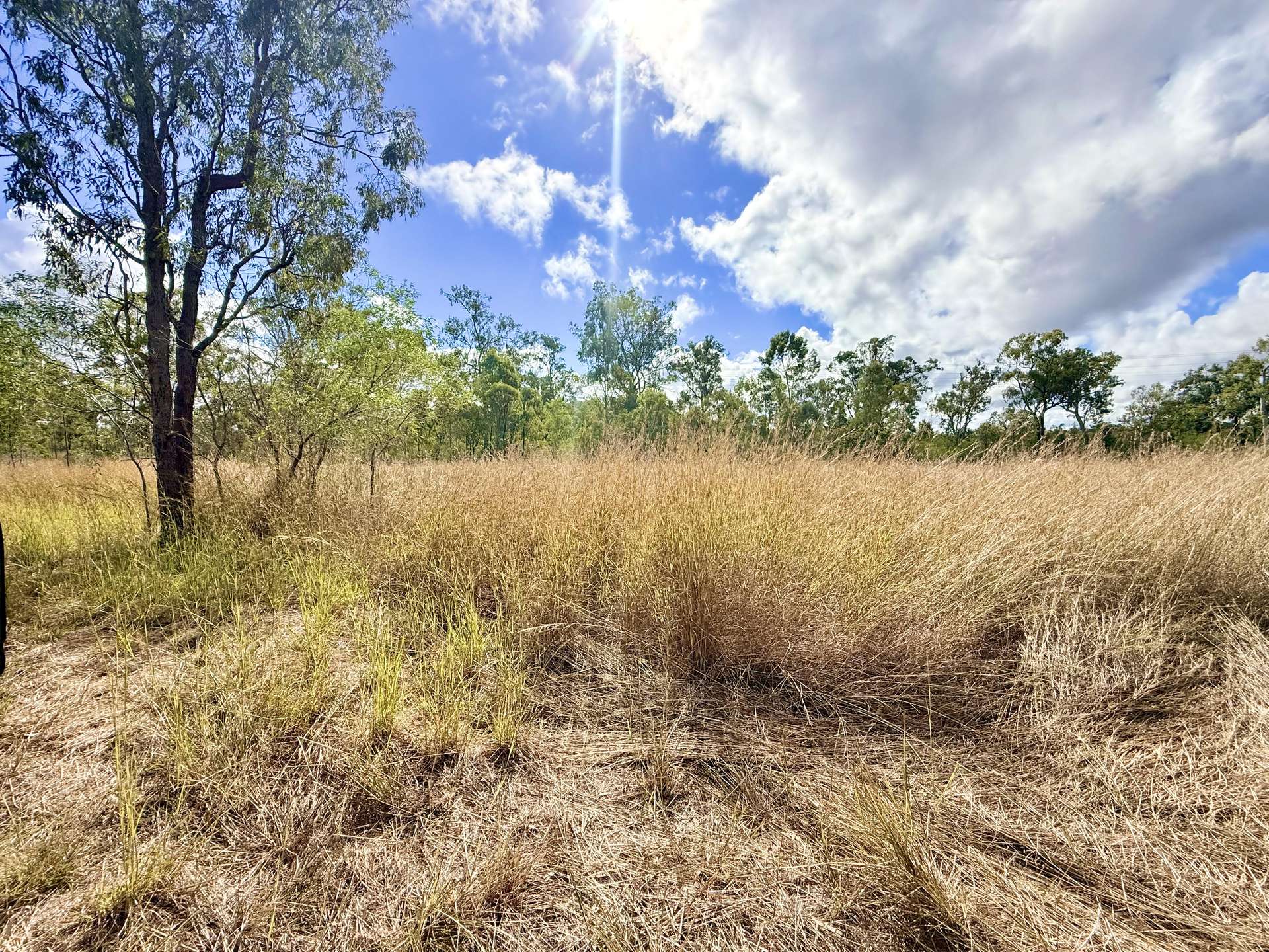 Lot 2,  Monduran Dam Road, Monduran For Sale by Farmbuy.com - image 4