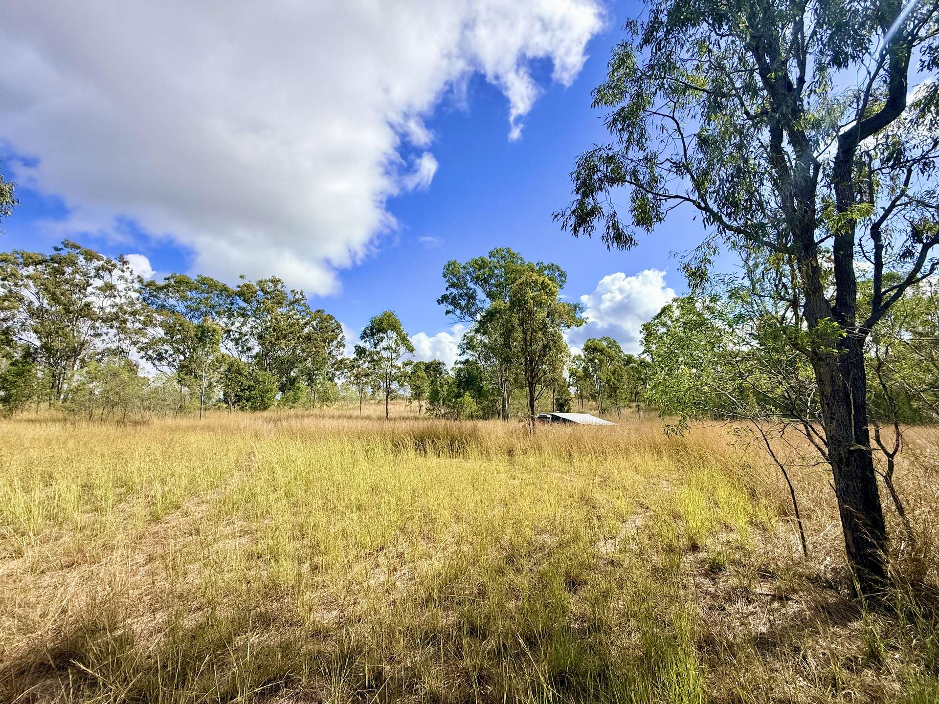 Lot 2,  Monduran Dam Road, Monduran For Sale by Farmbuy.com - image 5