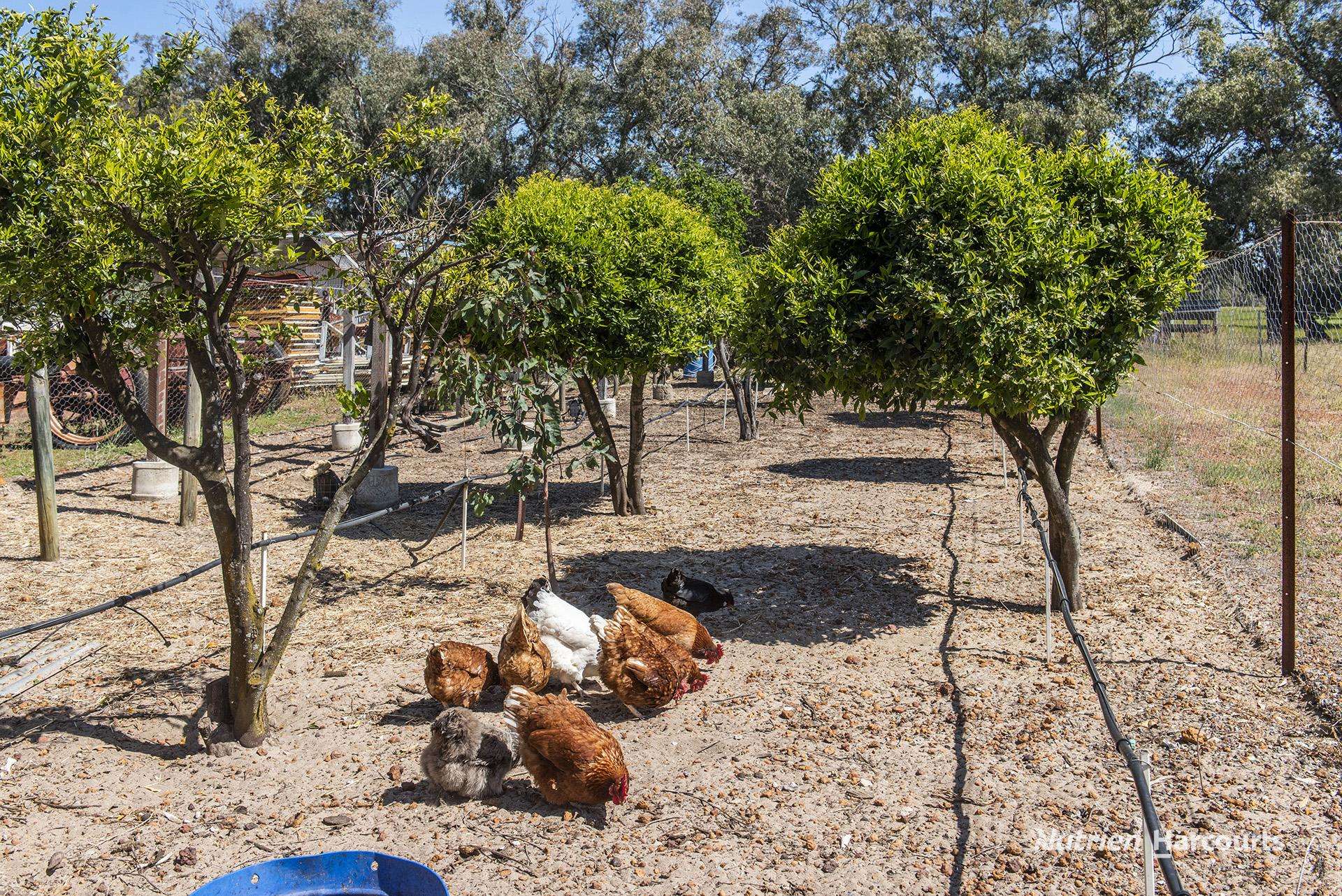 65 Baramba Road, Karakin For Sale by Farmbuy.com - image 22