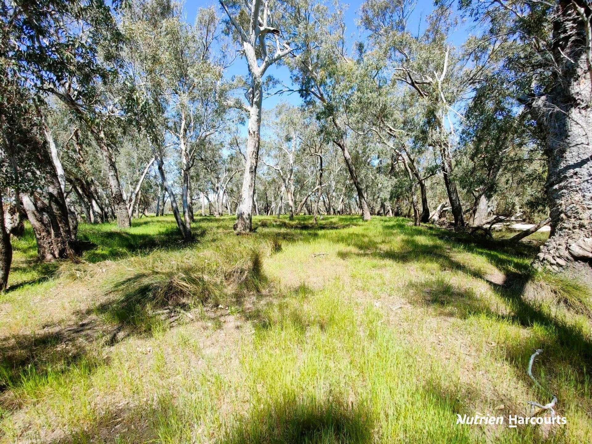65 Baramba Road, Karakin For Sale by Farmbuy.com - image 27