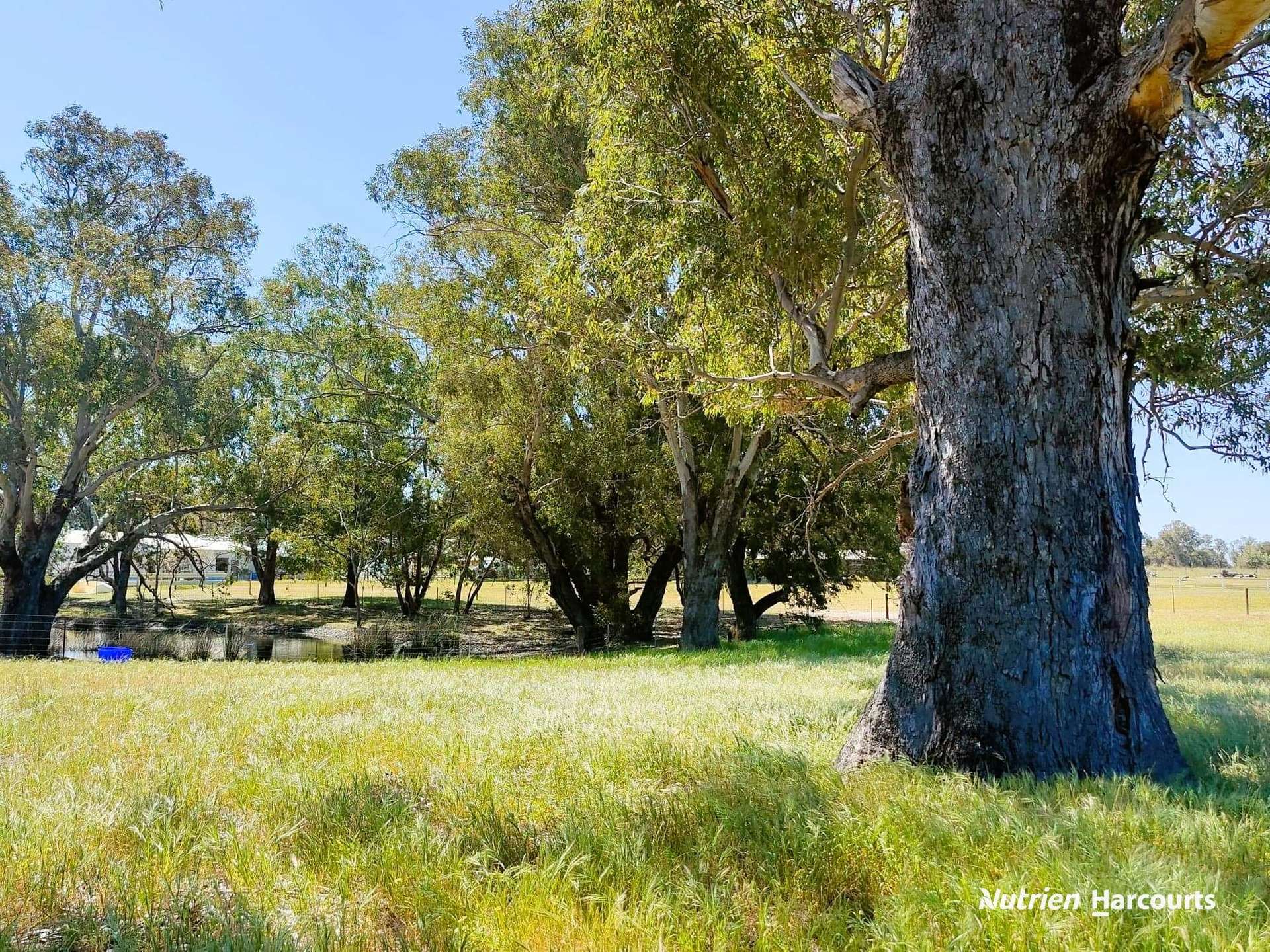 65 Baramba Road, Karakin For Sale by Farmbuy.com - image 26