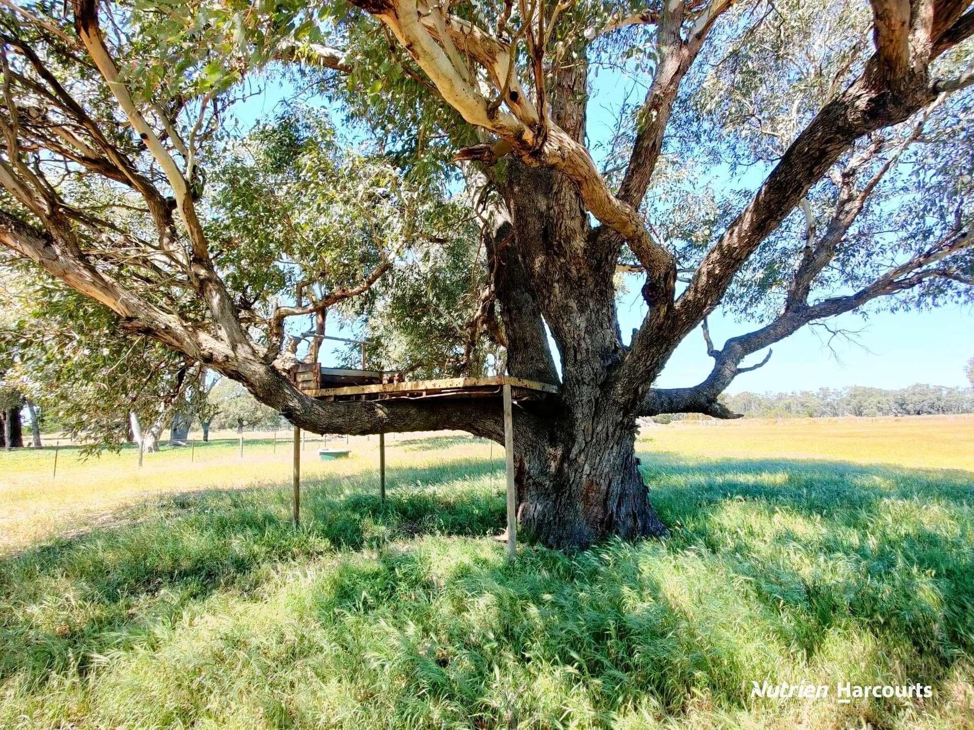 65 Baramba Road, Karakin For Sale by Farmbuy.com - image 29
