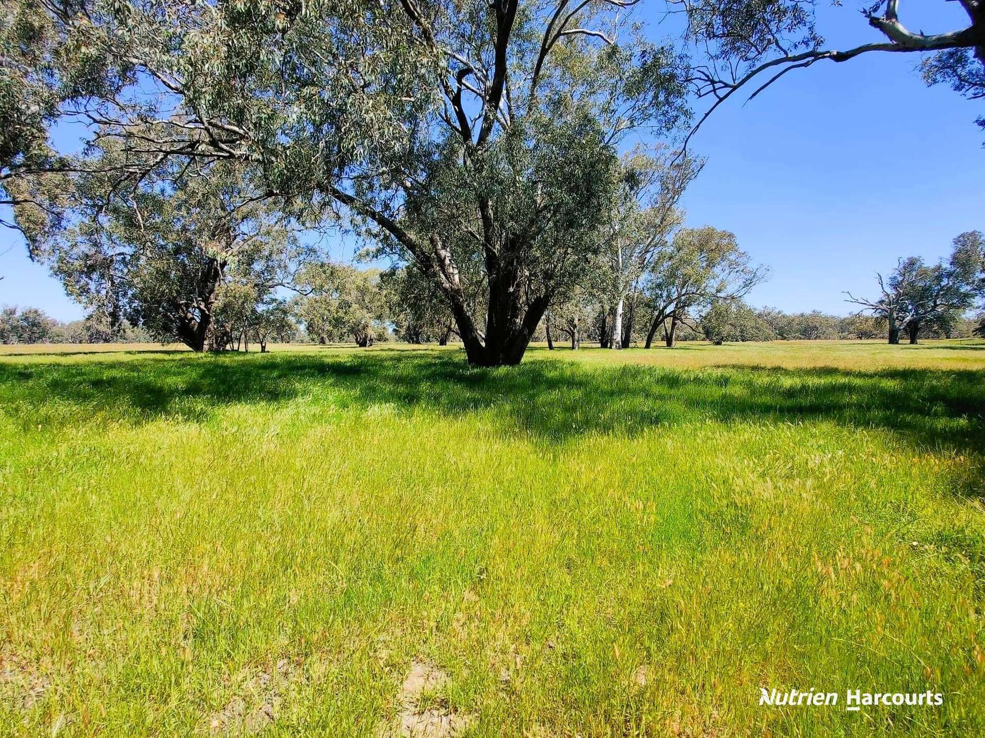 65 Baramba Road, Karakin For Sale by Farmbuy.com - image 30