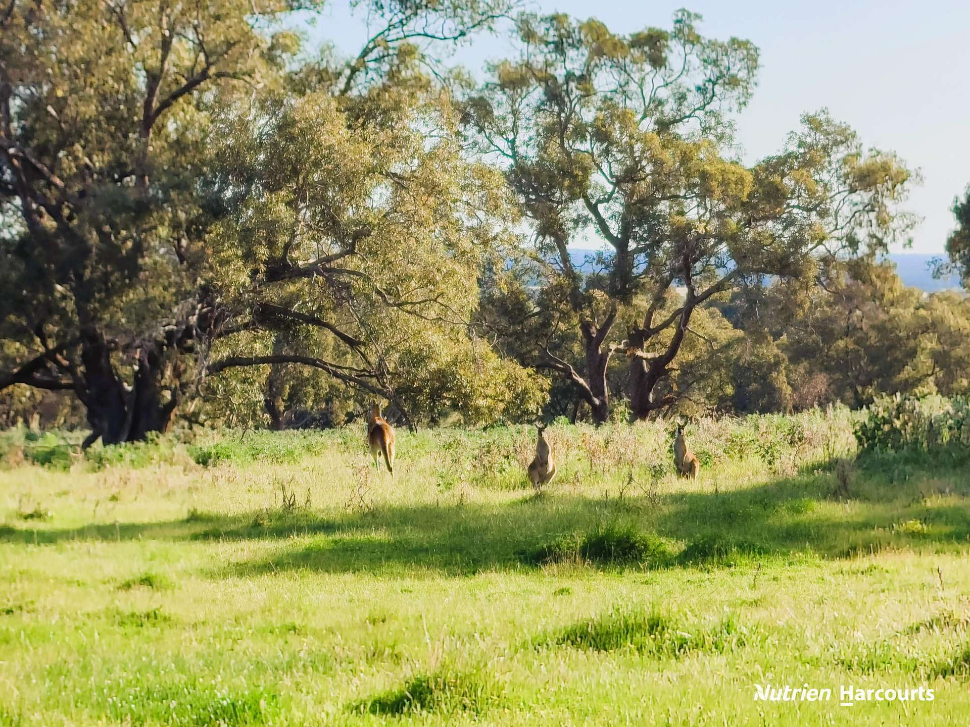 65 Baramba Road, Karakin For Sale by Farmbuy.com - image 32