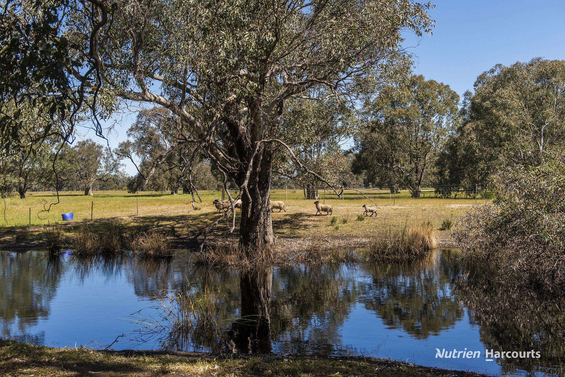 65 Baramba Road, Karakin For Sale by Farmbuy.com - image 26