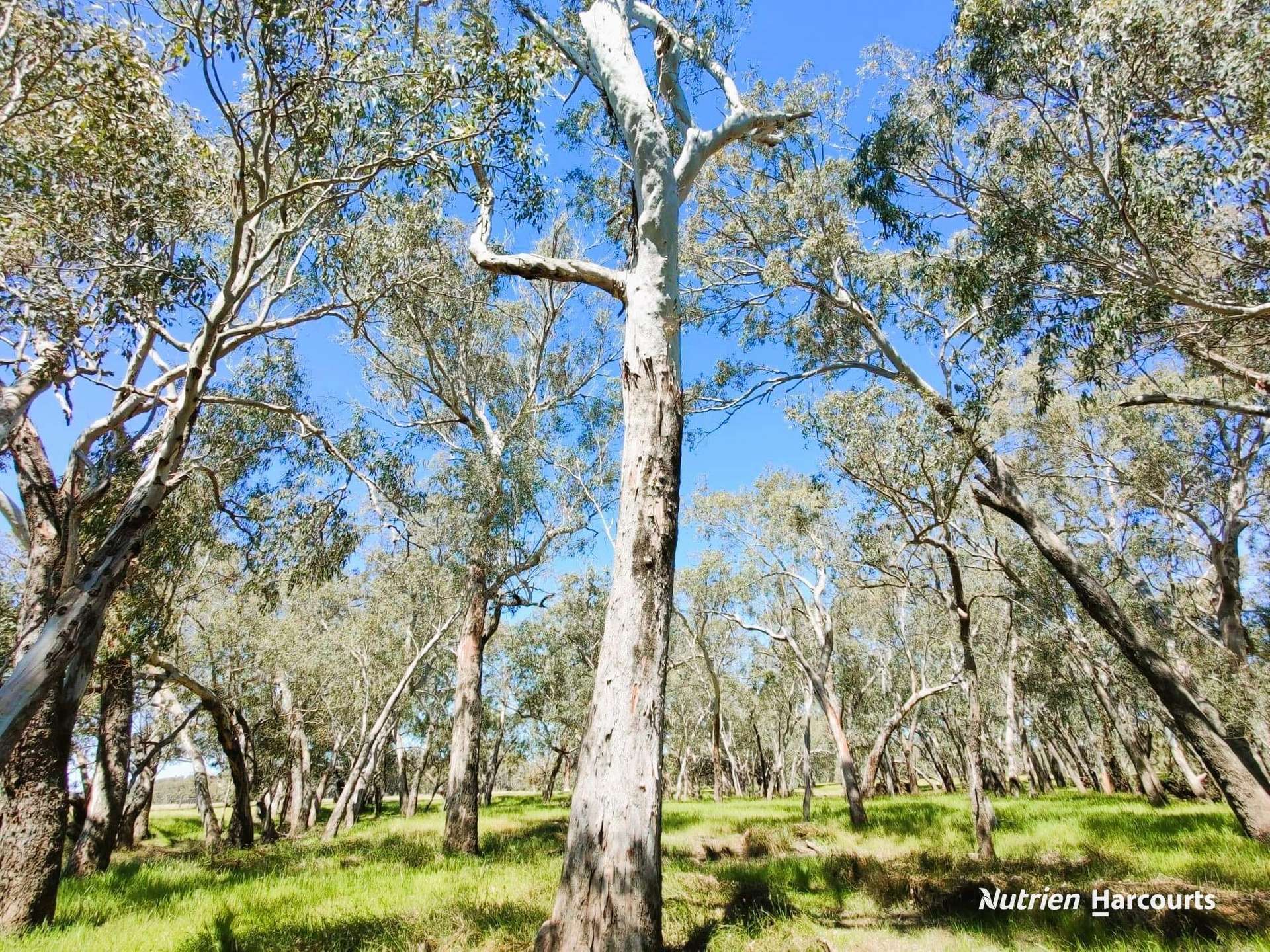 65 Baramba Road, Karakin For Sale by Farmbuy.com - image 28