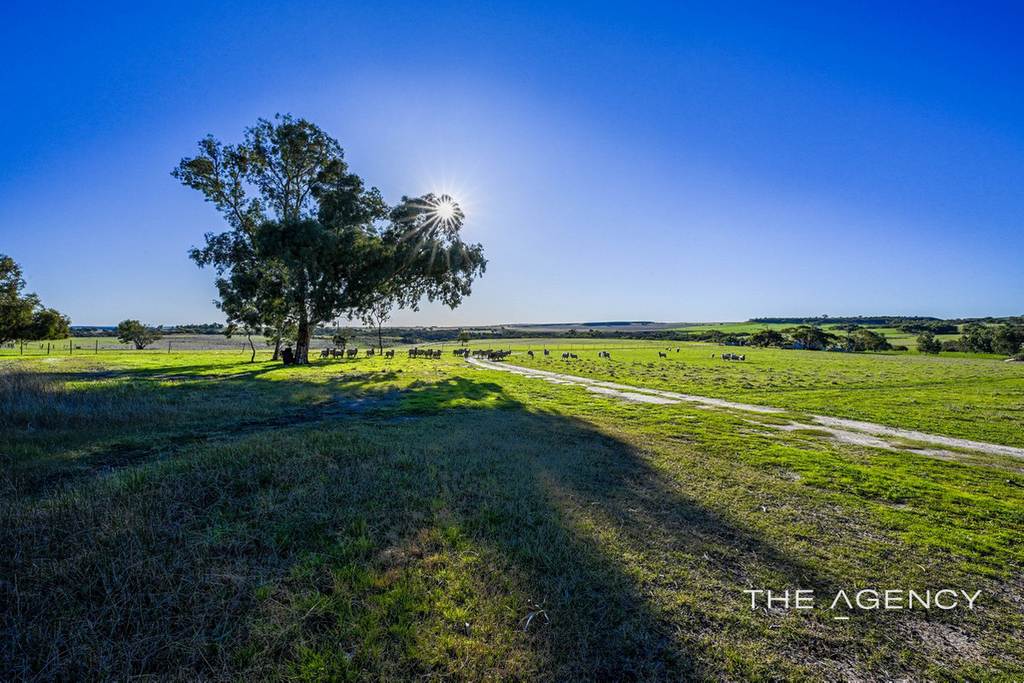 690 Geraldton-Mount Magnet Road, Bringo WA 6532